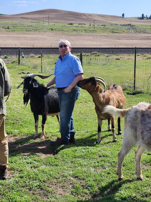 20240511_Phil meets the goats.jpg