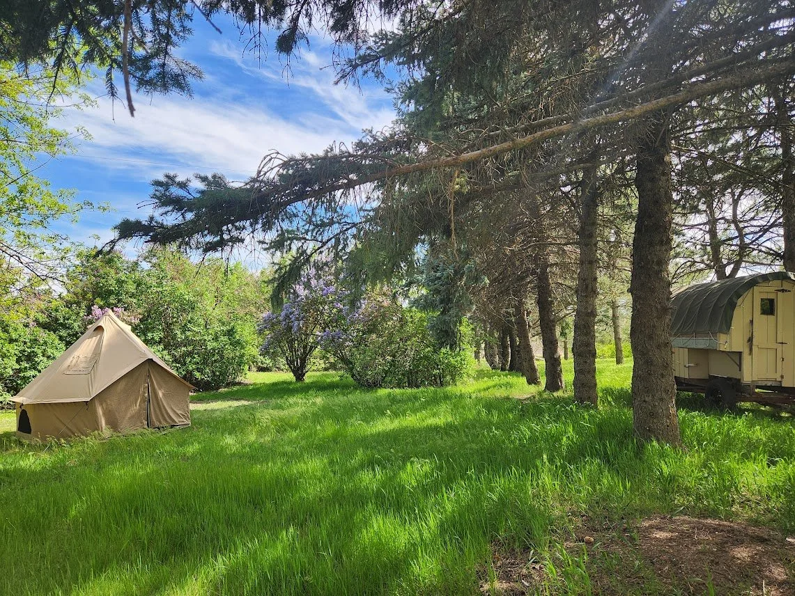 20250510_shepherds camp in spring with tent.jpg