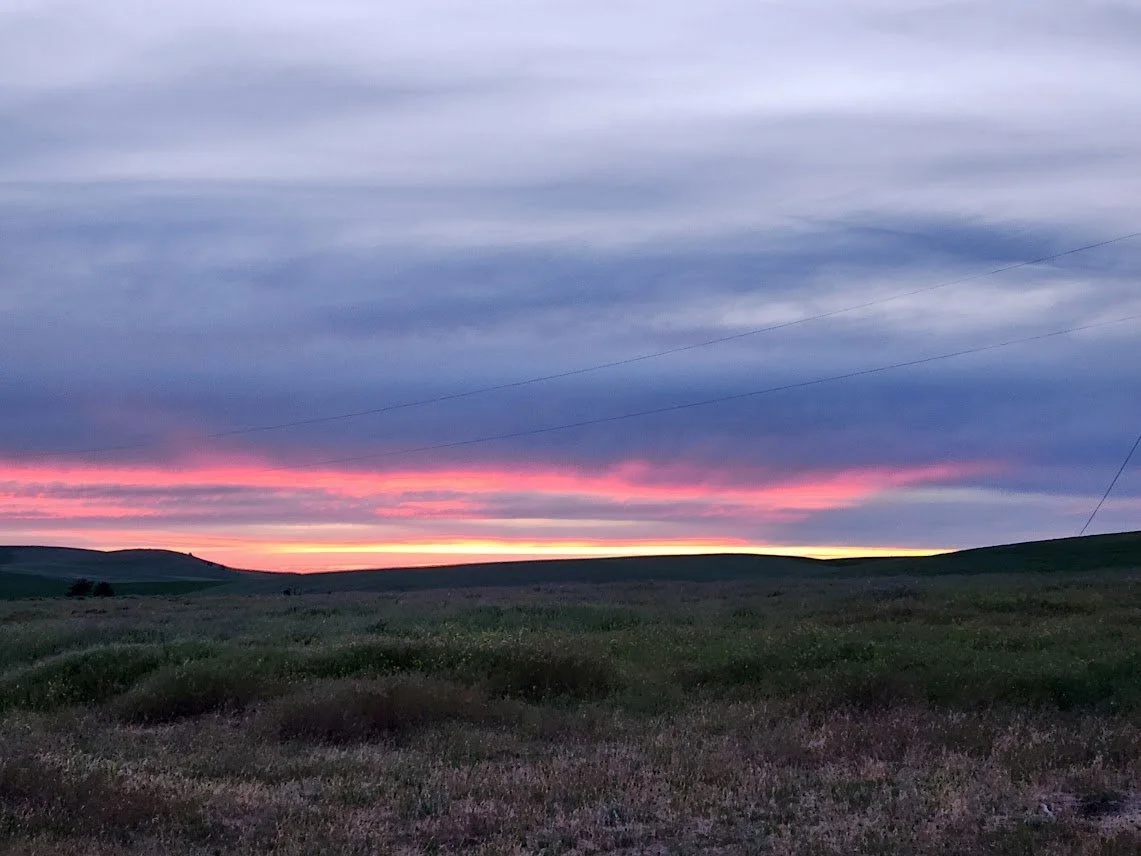 20240614_June sunset.jpg