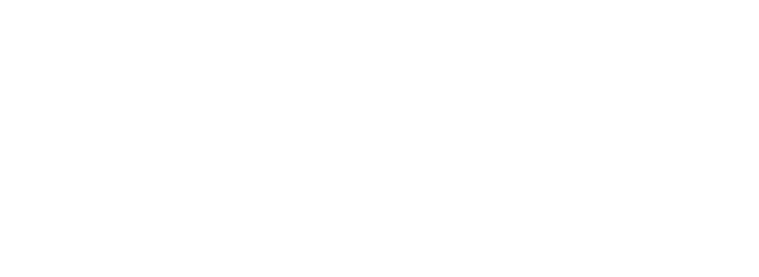 Axcel Website