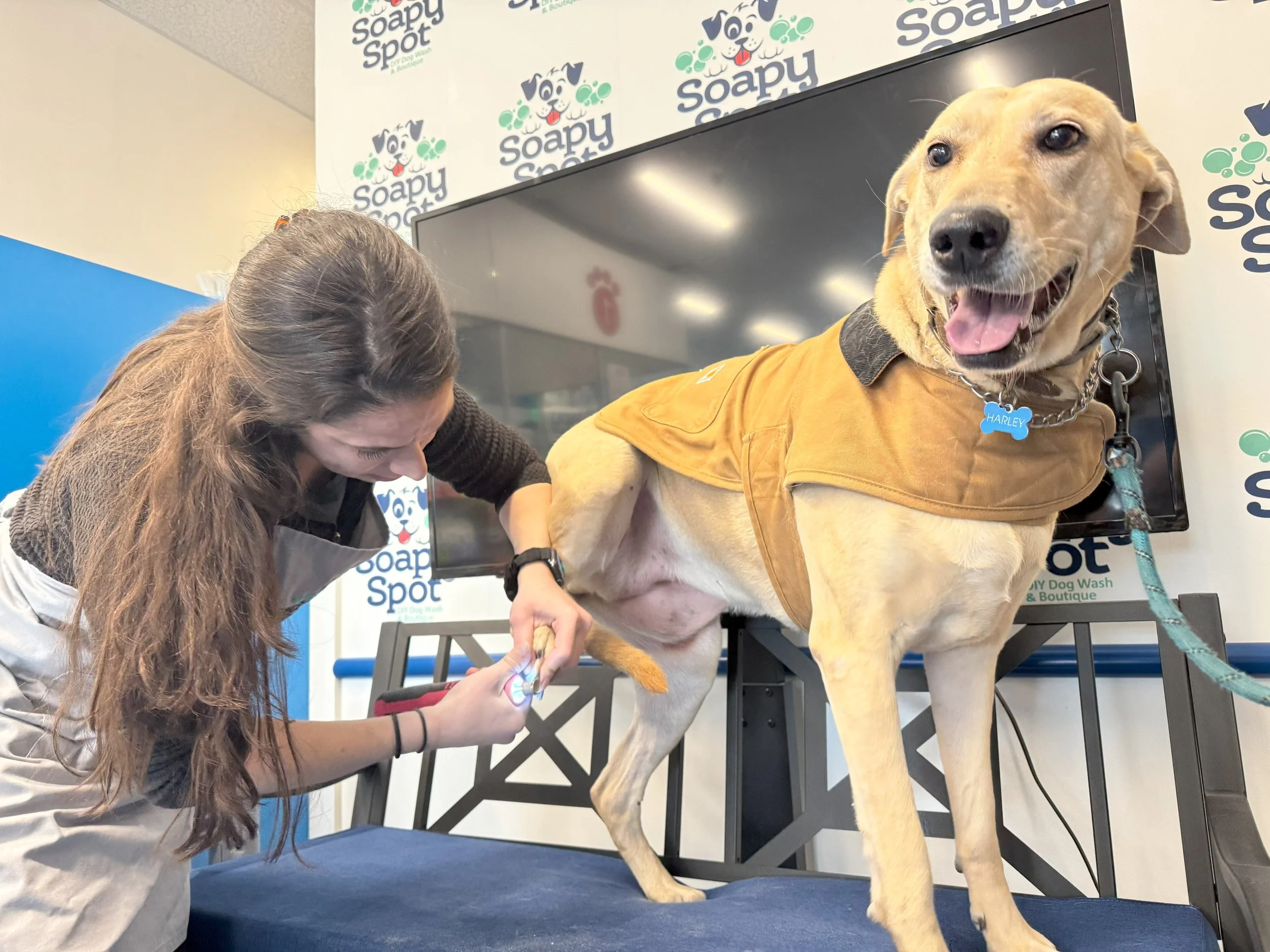 Nail Trimming Service