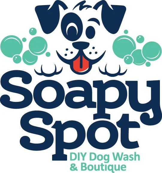 The Soapy Spot DIY Dog Wash &amp; Boutique