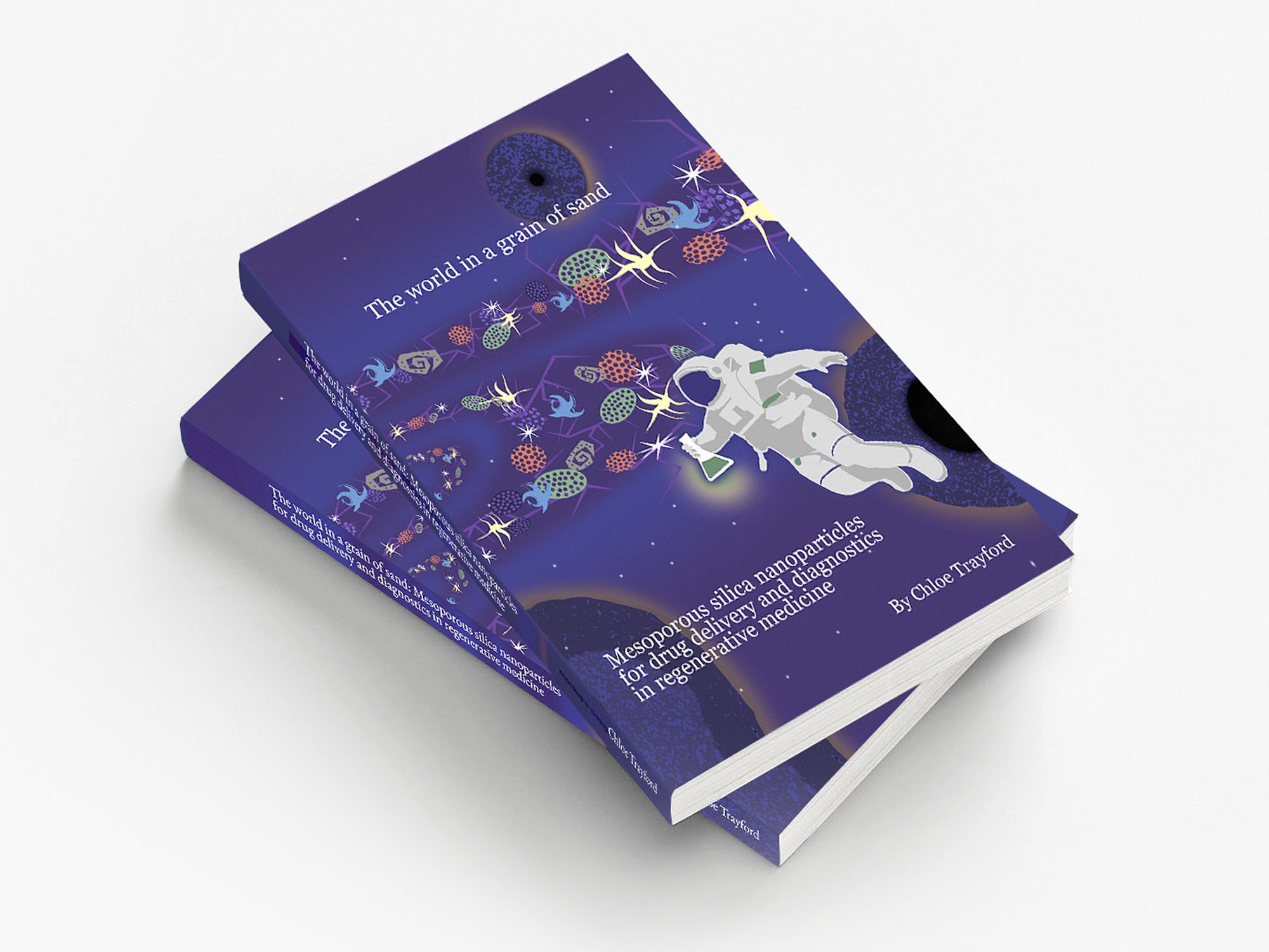 The world in a grain of sand (Thesis Cover)