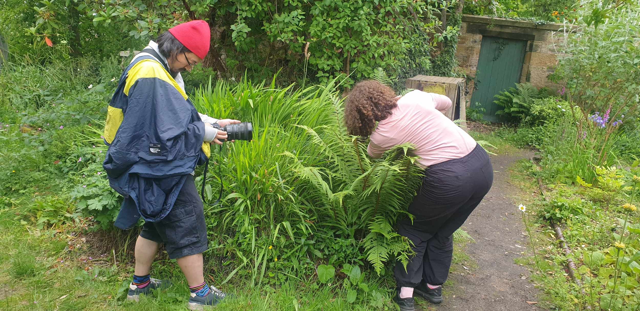 garden-series-participants-photography-garden-ferns.jpg