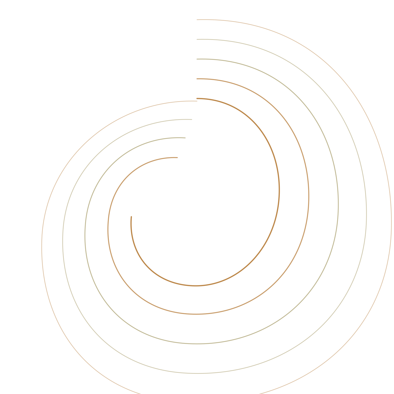 Swirling lines illustration.