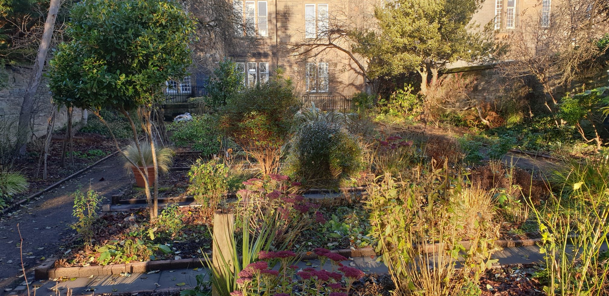 garden-series-edinburgh-walled-garden-raised-beds-winter-light.jpg