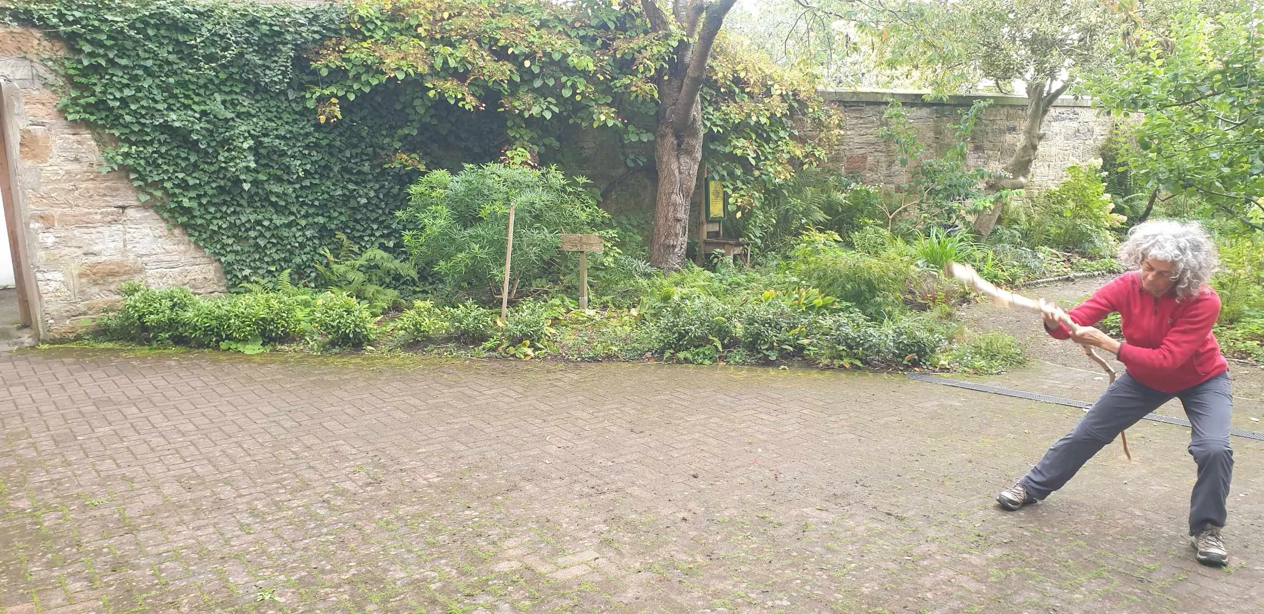 garden-series-dancer-stick-spinning-walled-garden-ivy.jpg