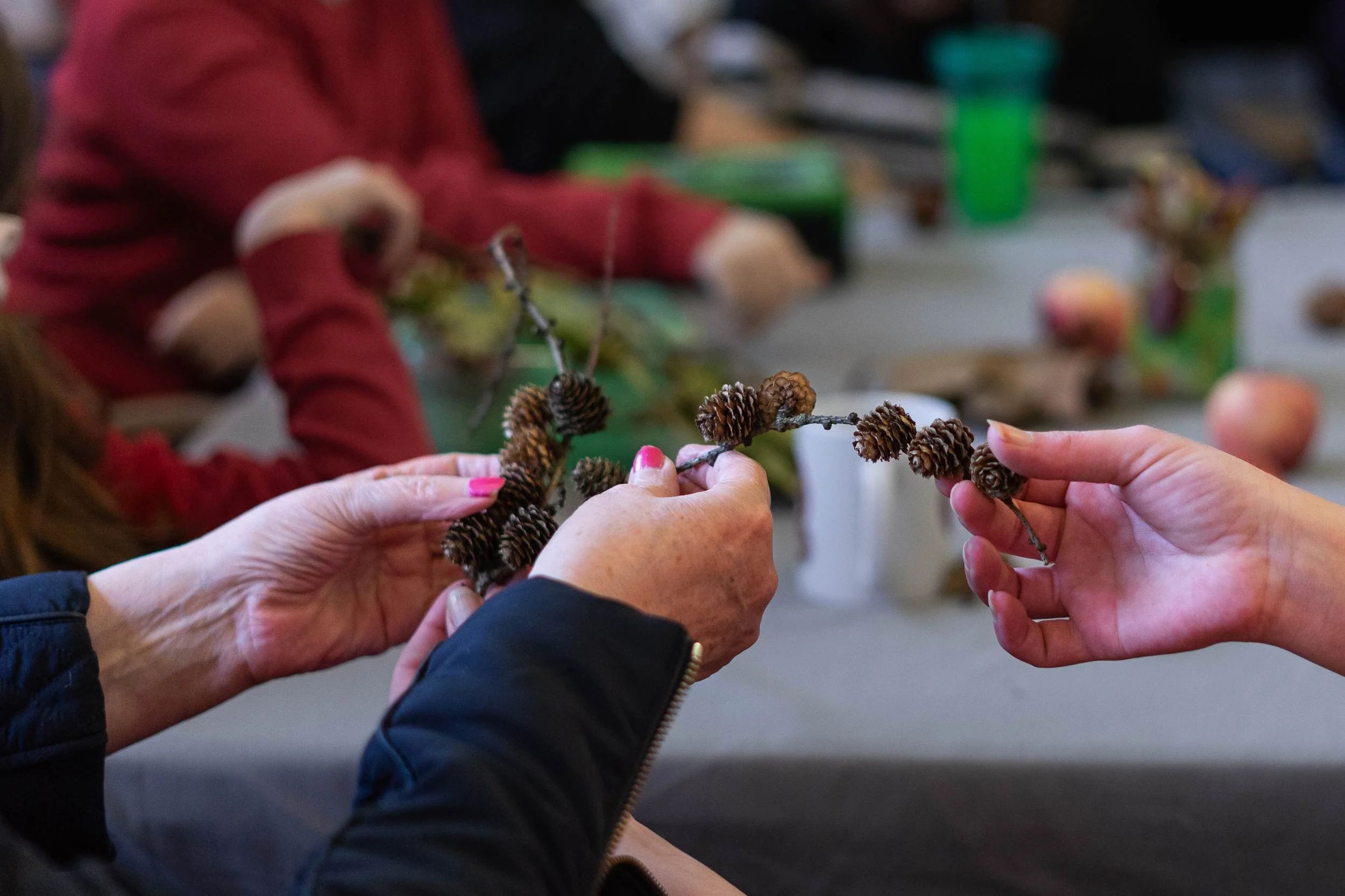 Close-up of three pairs of hands passing a small pine cone branch at a craft table with natural materials.