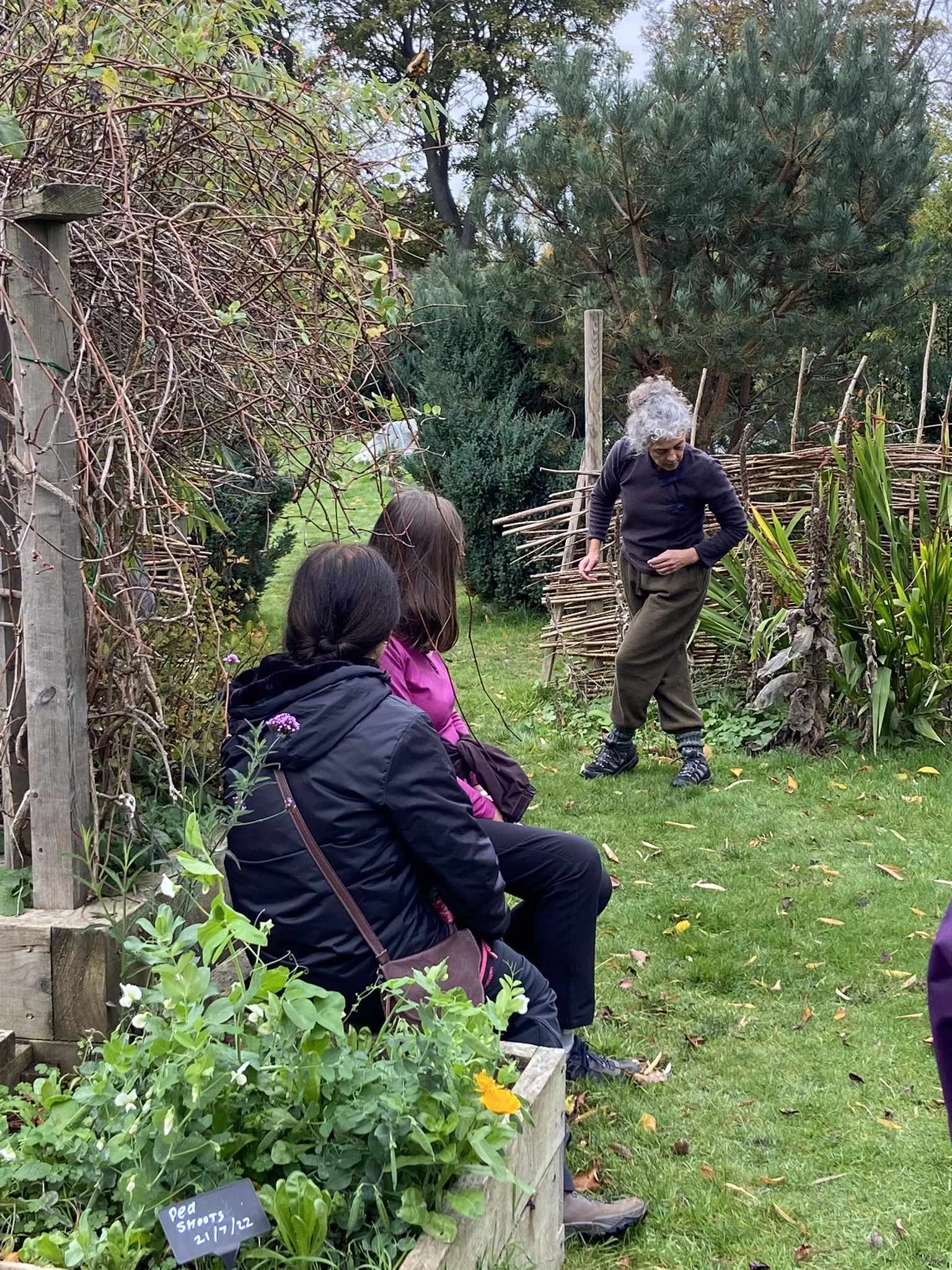 garden-series-performer-audience-allotment-garden.jpg