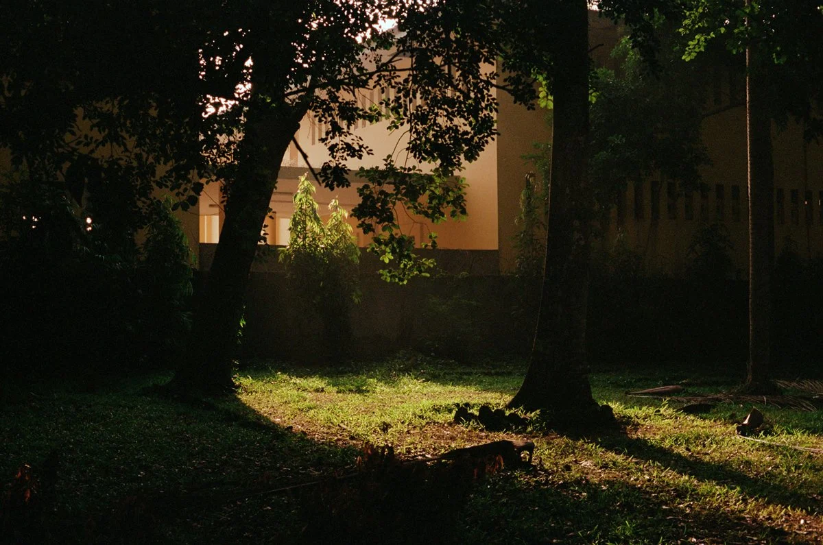 Au jardin botannique de Bingerville