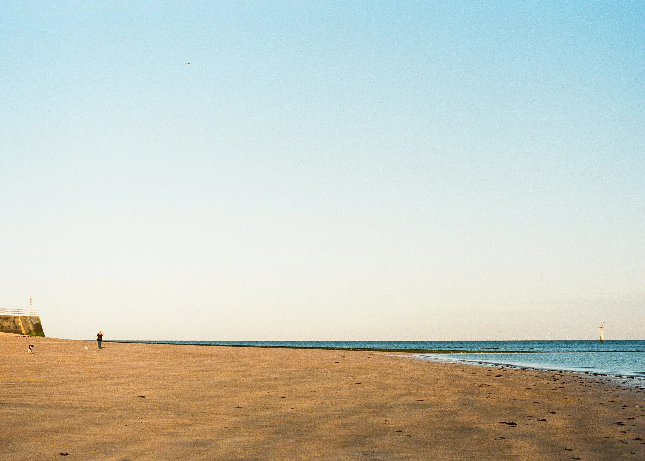 Josh Skyes - 70 by 50cm - 8 - Vanishing Point.jpg