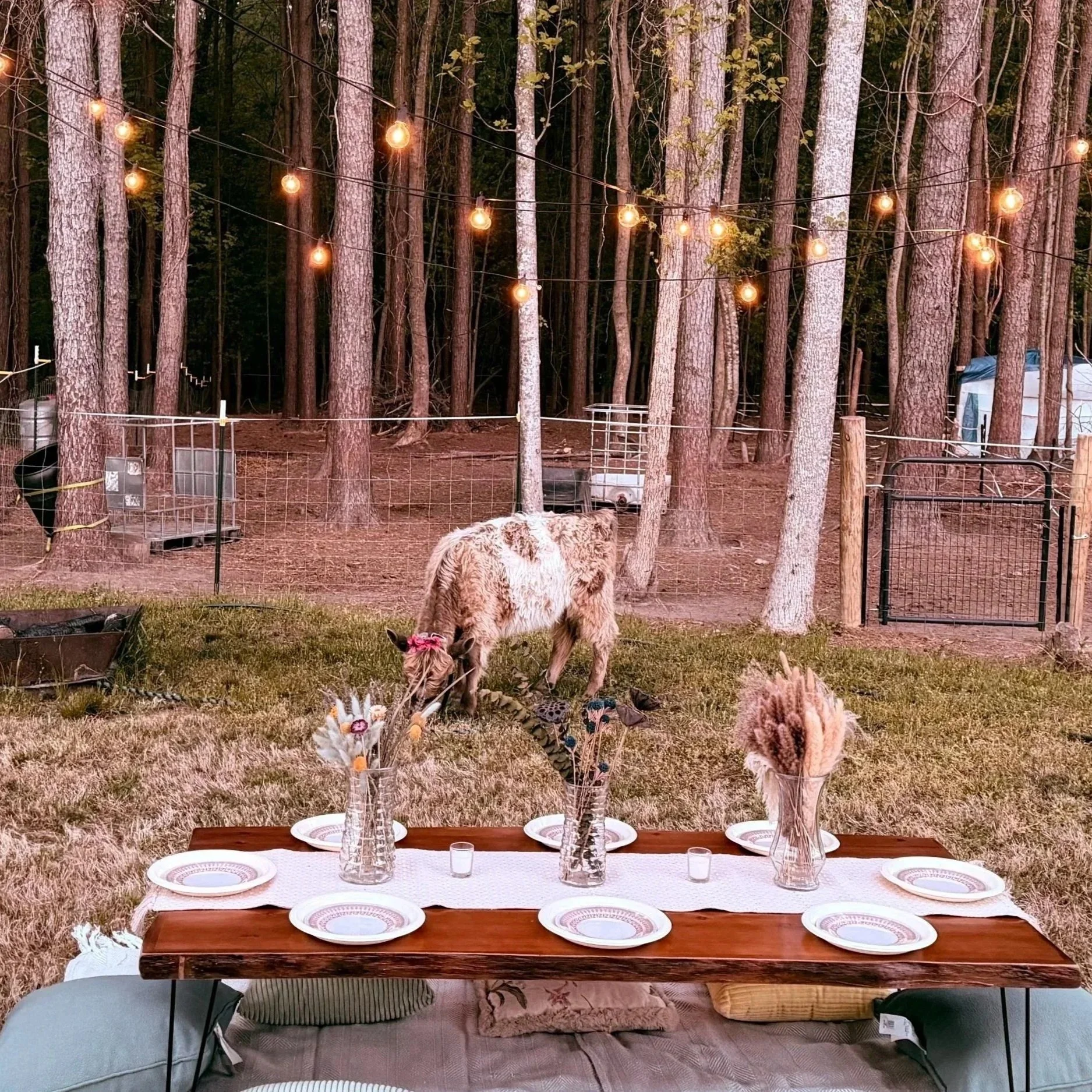 Pasture Picnic
