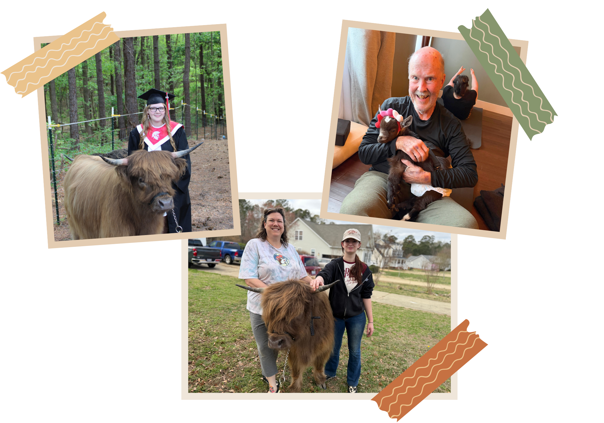 A collage of photos with people and animals. One photo shows a girl in a graduation gown and cap standing outdoors with a highland cow. Another shows a man indoors holding a small goat wearing a red antler headband, smiling at the camera. A third photo features two women outdoors with a highland cow, one smiling and the other partially obscured.