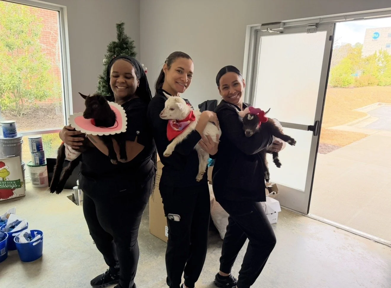 Door-to-Door Goat Grams