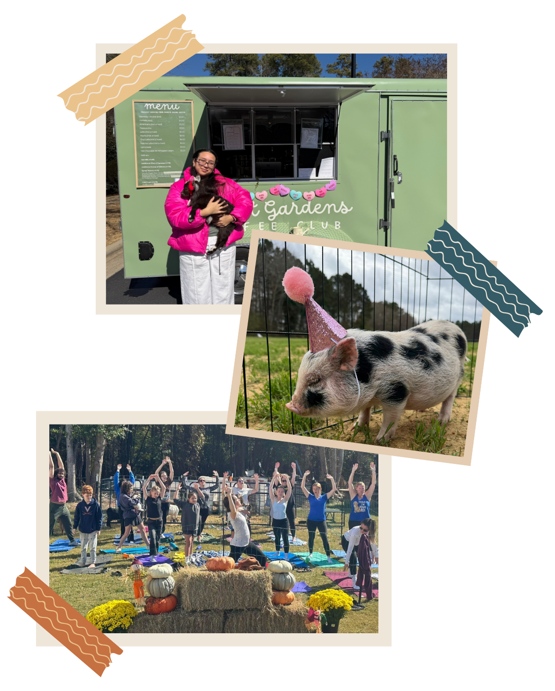 Collage of three outdoor scenes: a woman holding a goat in front of a green food truck, a piglet wearing a pink party hat with a pom-pom outside, and a group of people doing yoga on a field decorated with pumpkins and flowers.