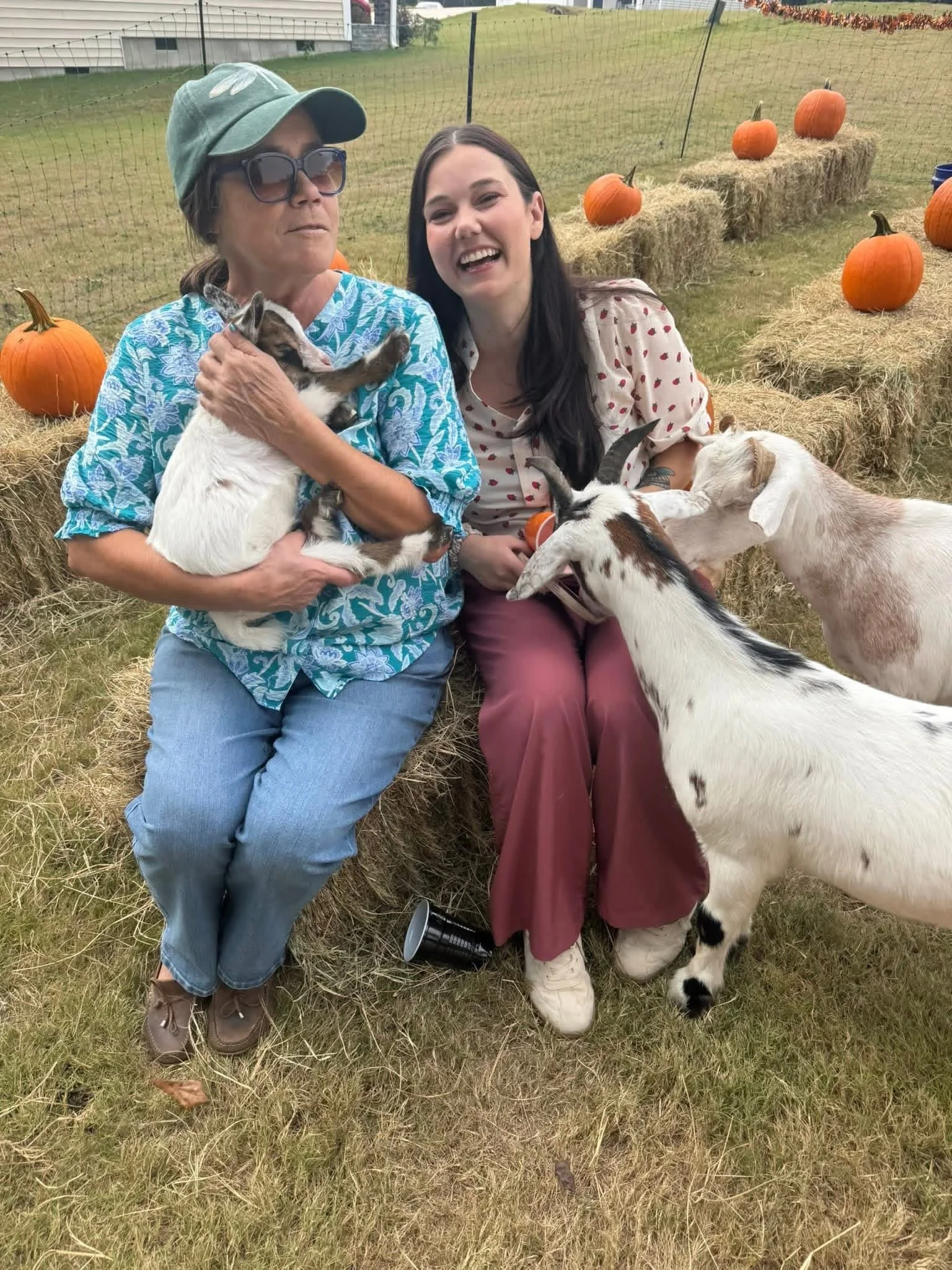 Two women sitting on hay bales outdoors, surrounded by pumpkins and goats, with a fence and a house in the background.