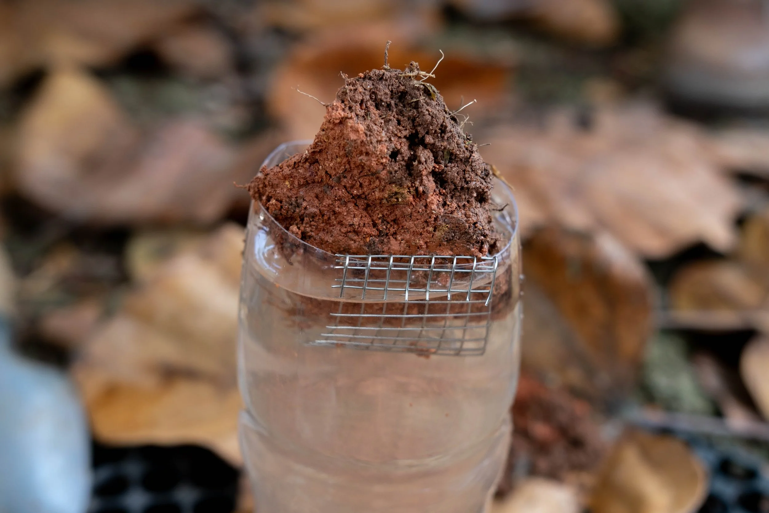 DSCF4513SLOWGROUND.jpg