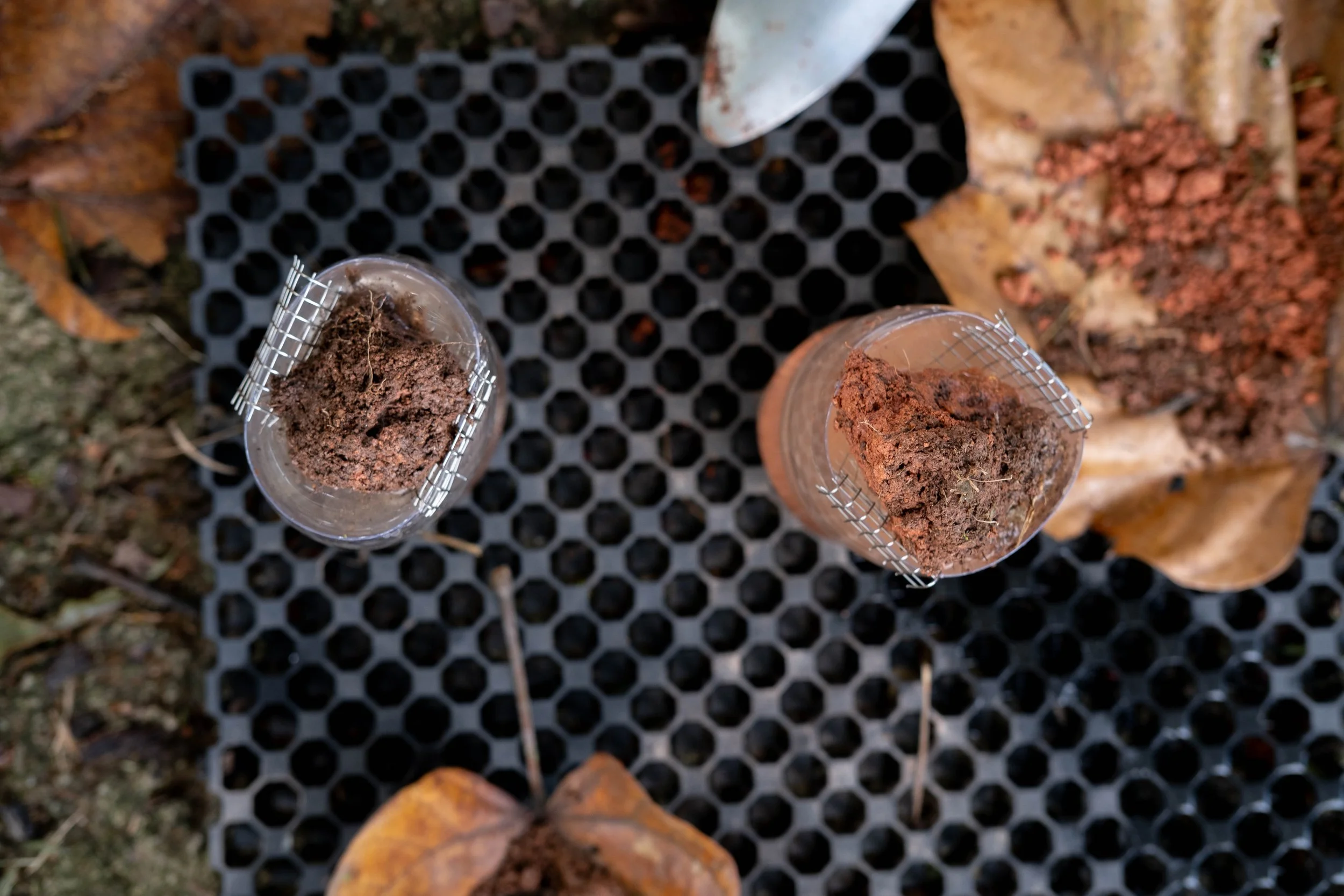 Soil Assessment and Site Survey