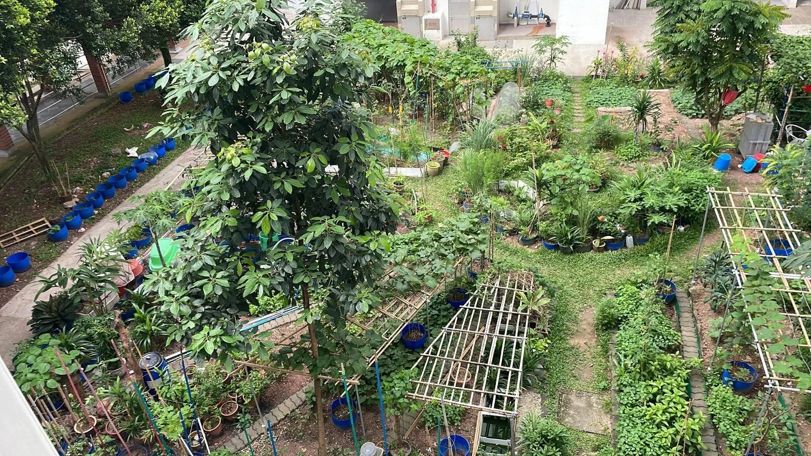 Meet the Community Gardens