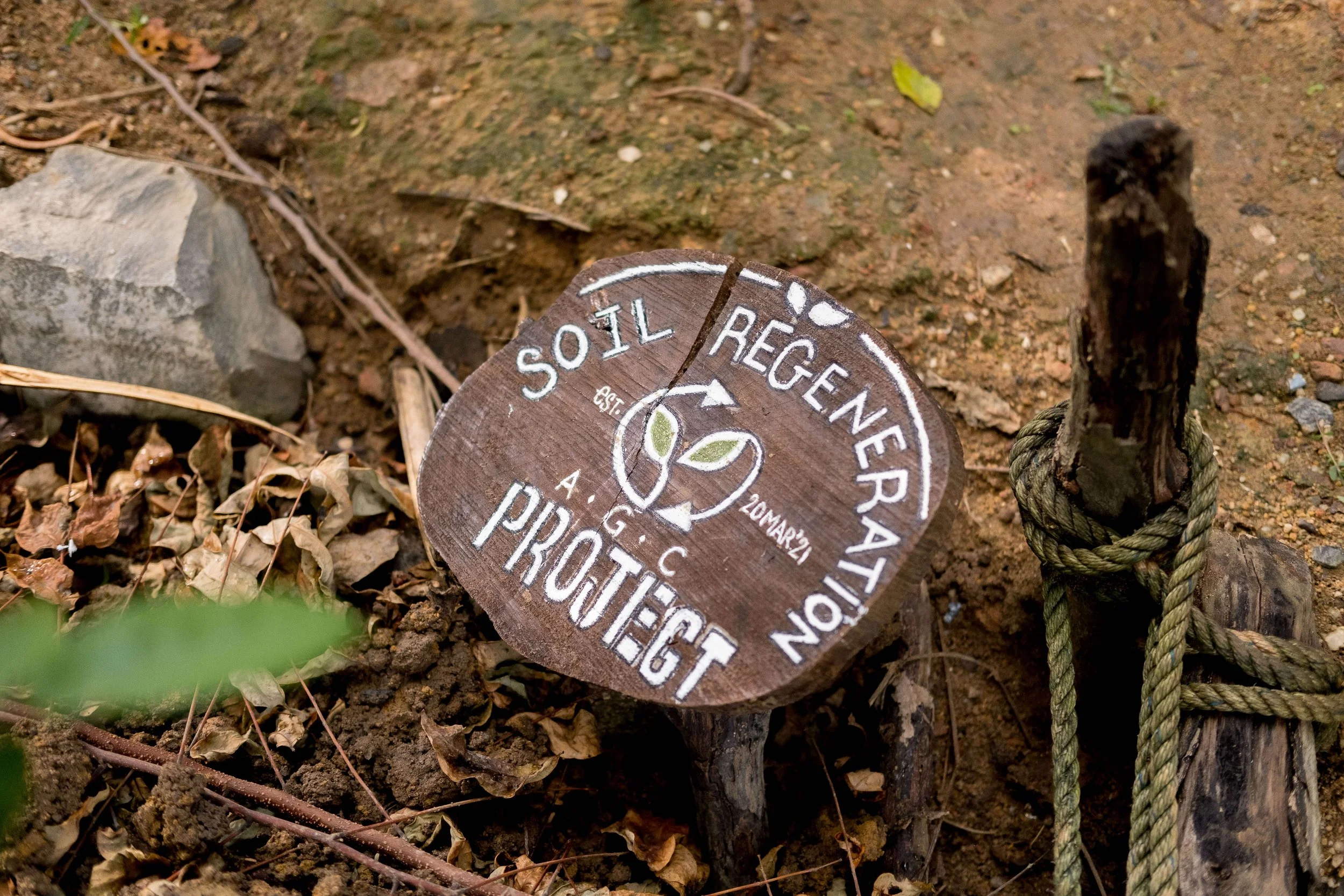 About the Soil Regeneration Project