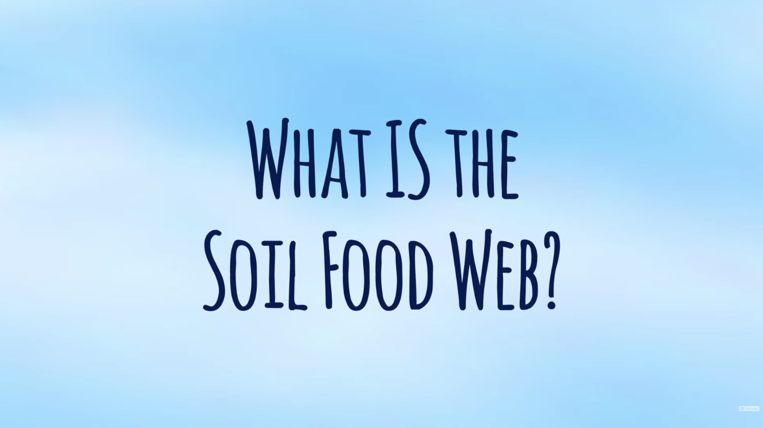 What is the Soil Food Web? | Soil Food Web School