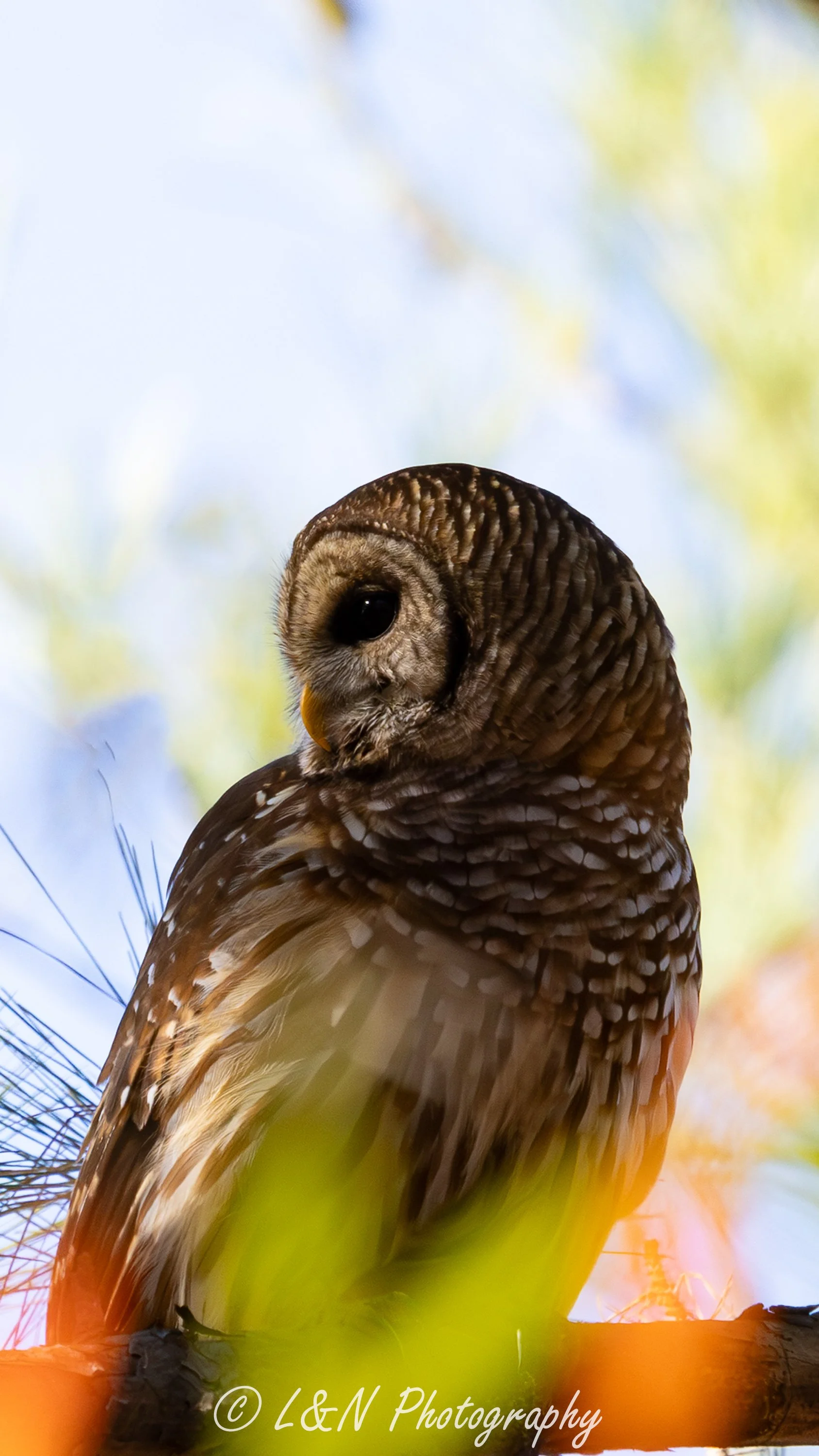 IMG_4600-Edit.jpg