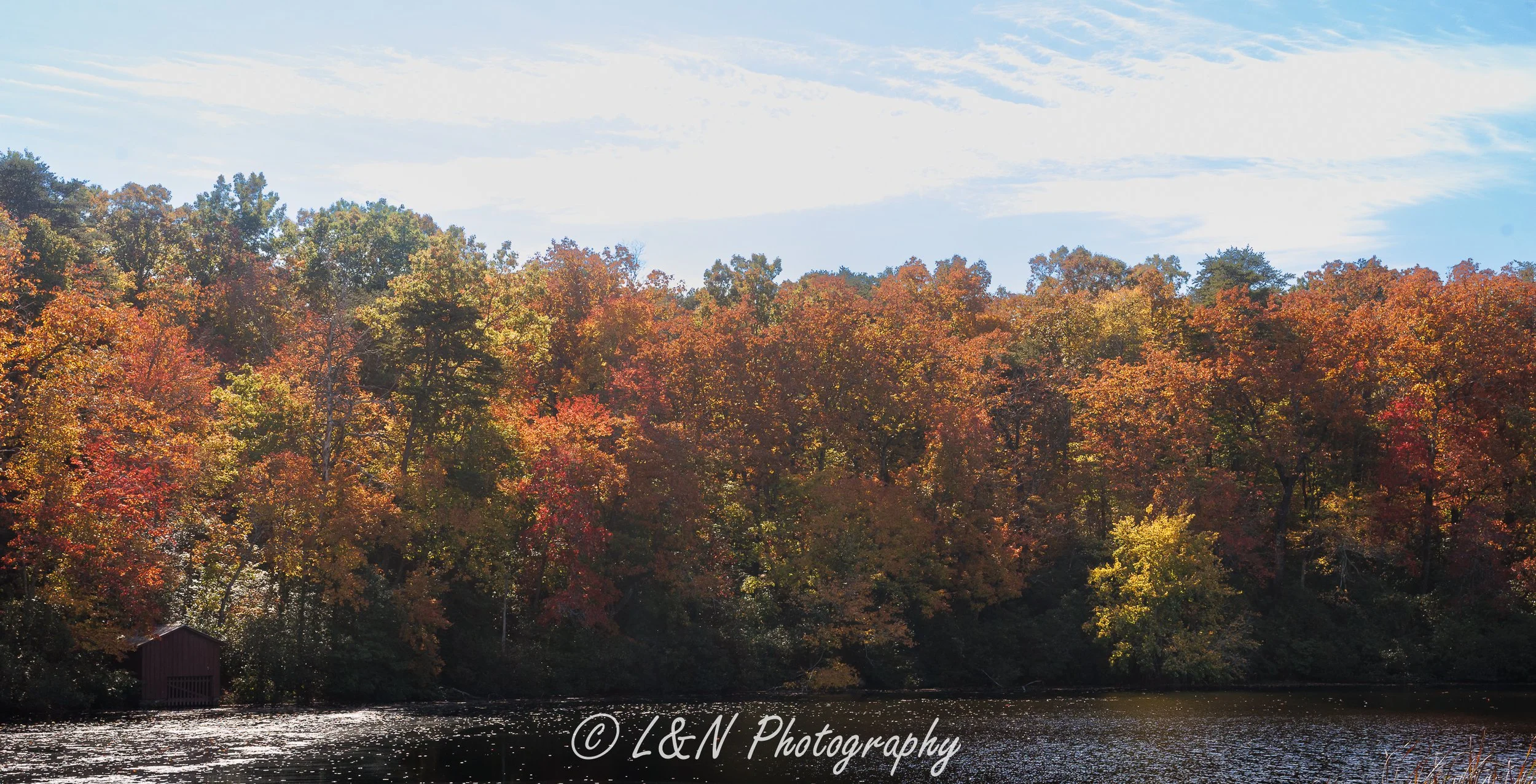 LN_Photo_-8.jpg