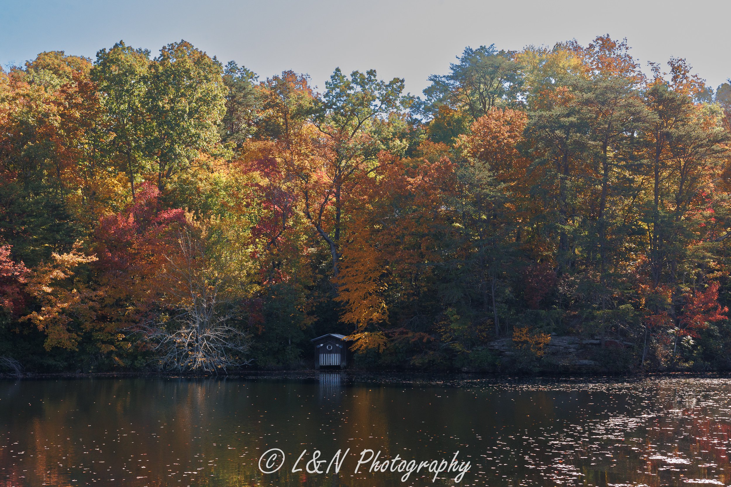 LN_Photo_-7.jpg