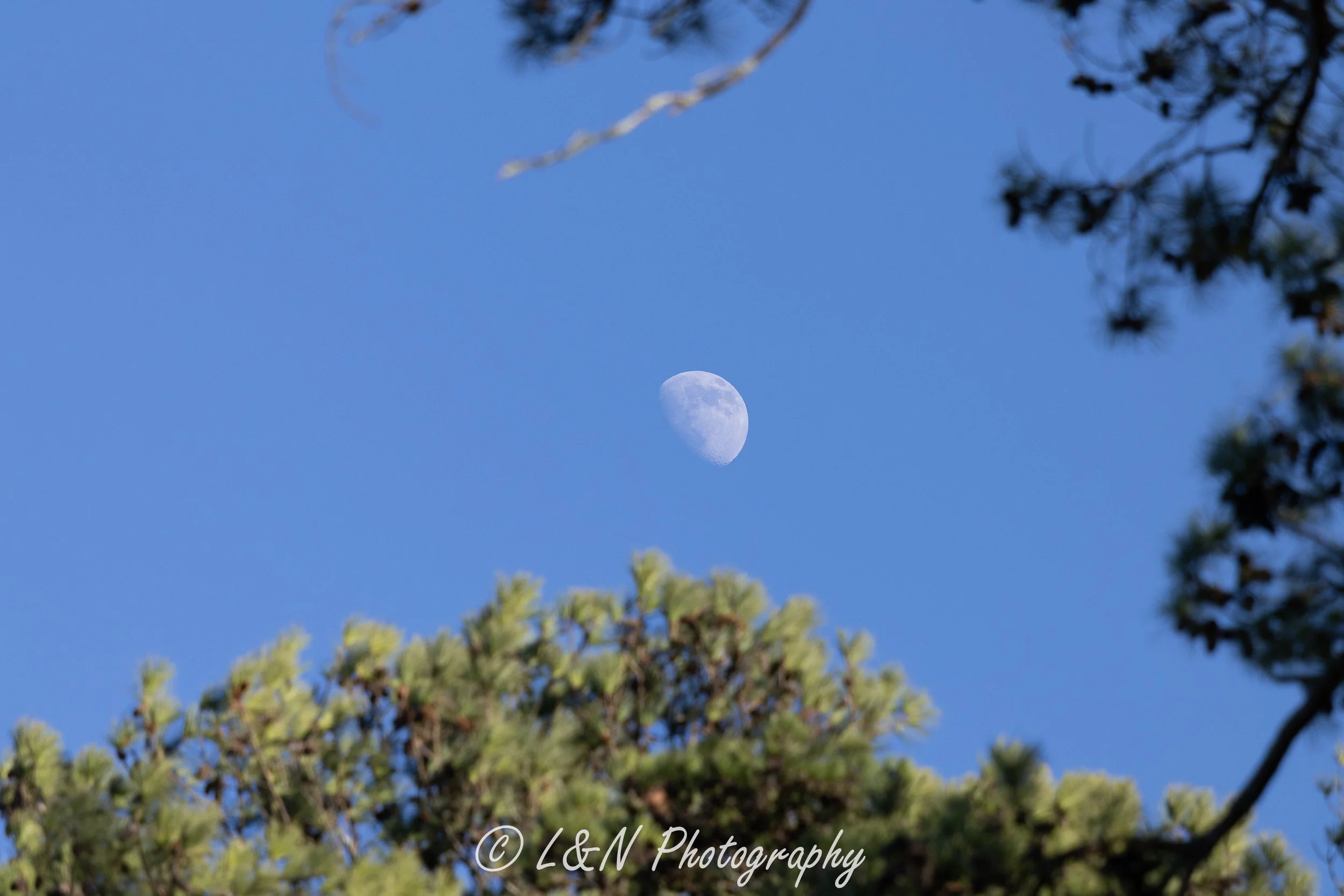 IMG_4843.jpg