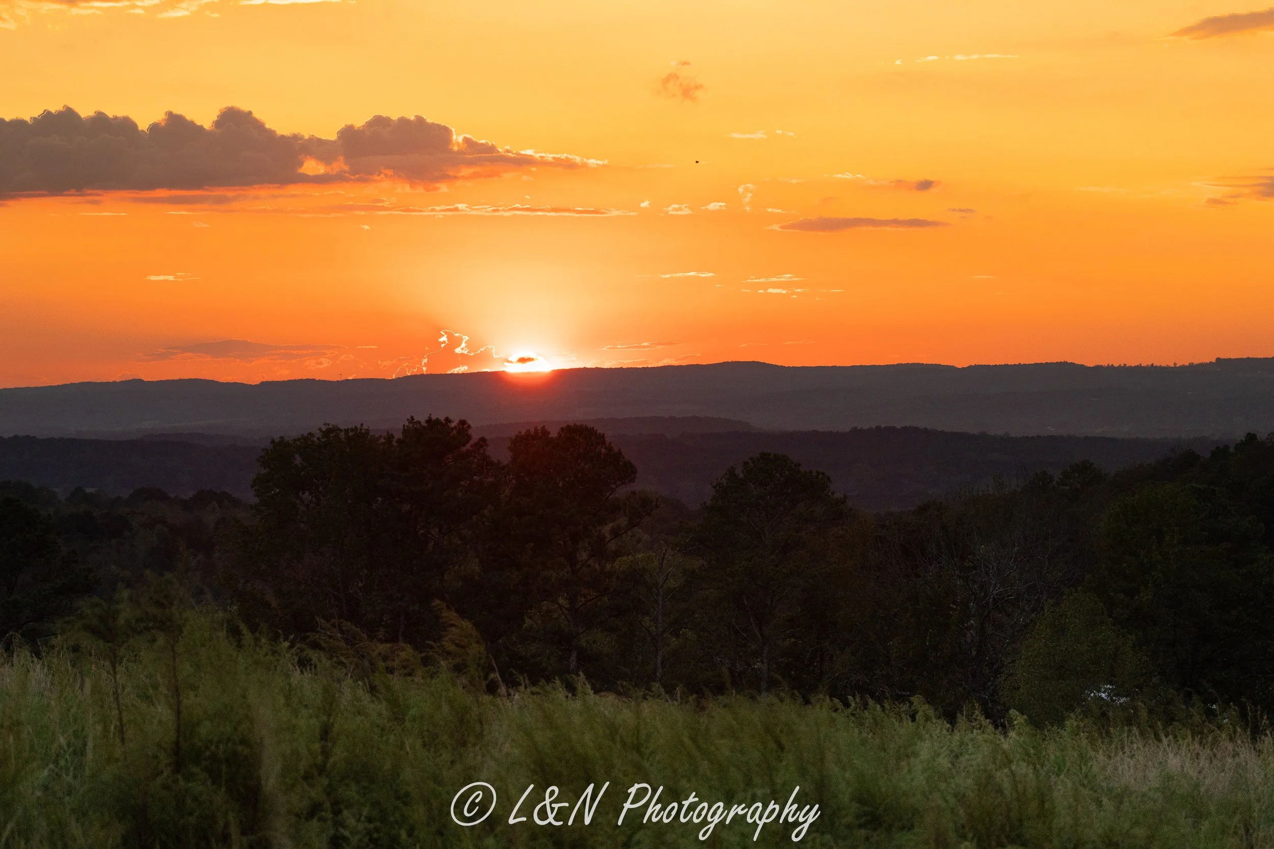 IMG_2519-HDR.jpg