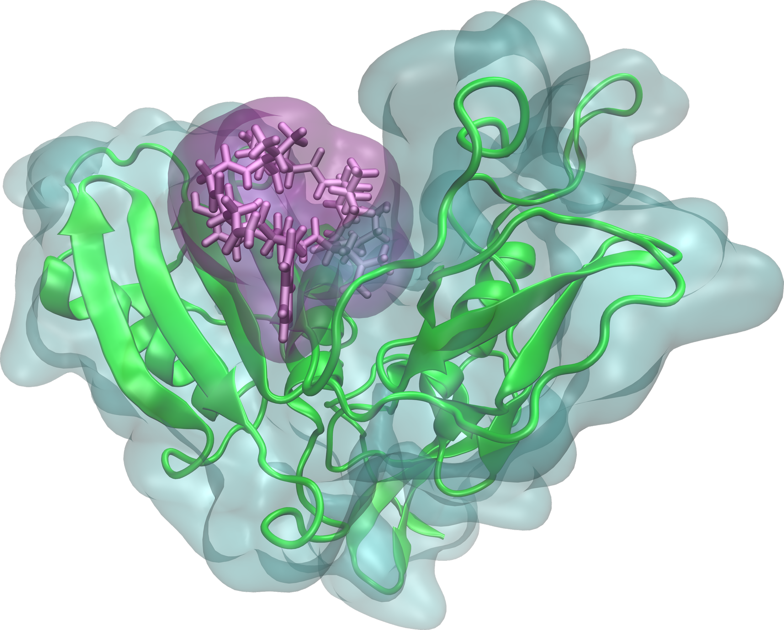 Molecular model of a protein with green ribbon structures, highlighted purple ligand binding site, and surrounding molecular surface in a light blue hue.