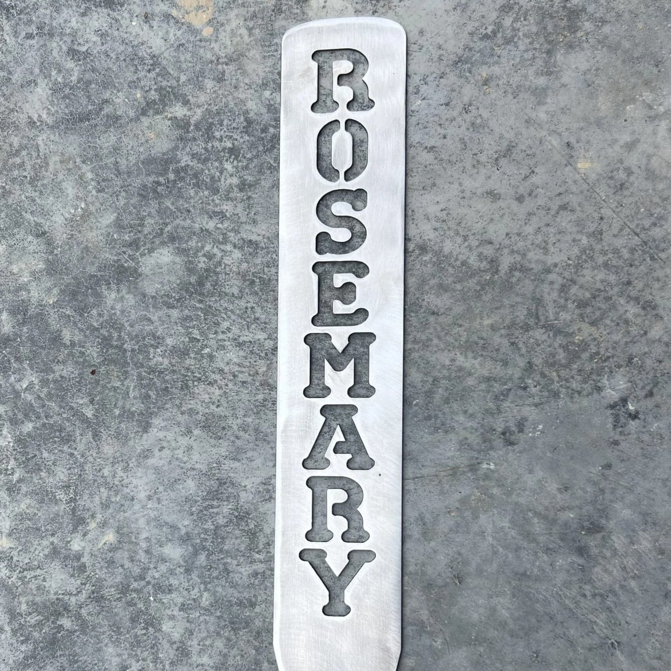 Rosemary.jpg
