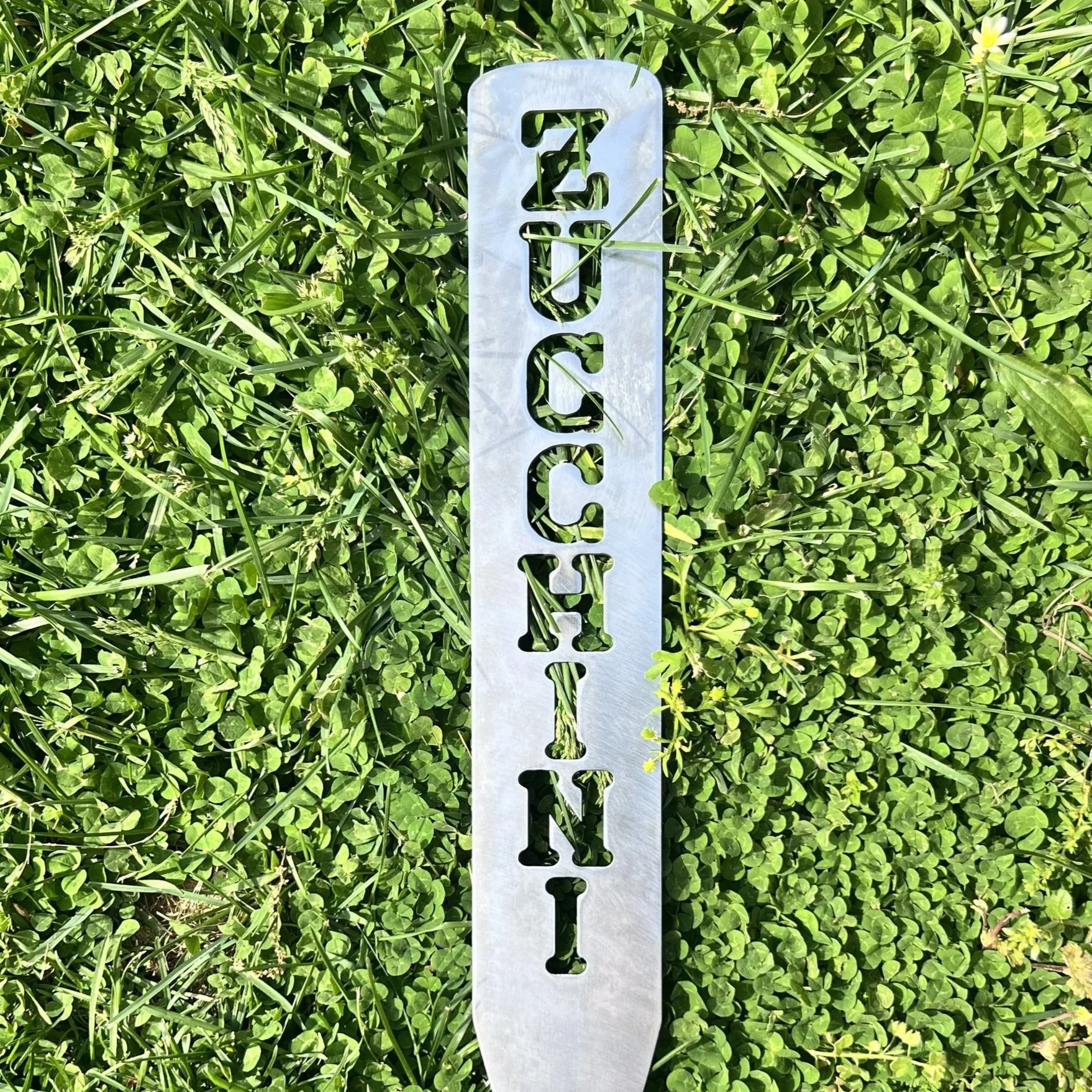 Zucchini.jpg