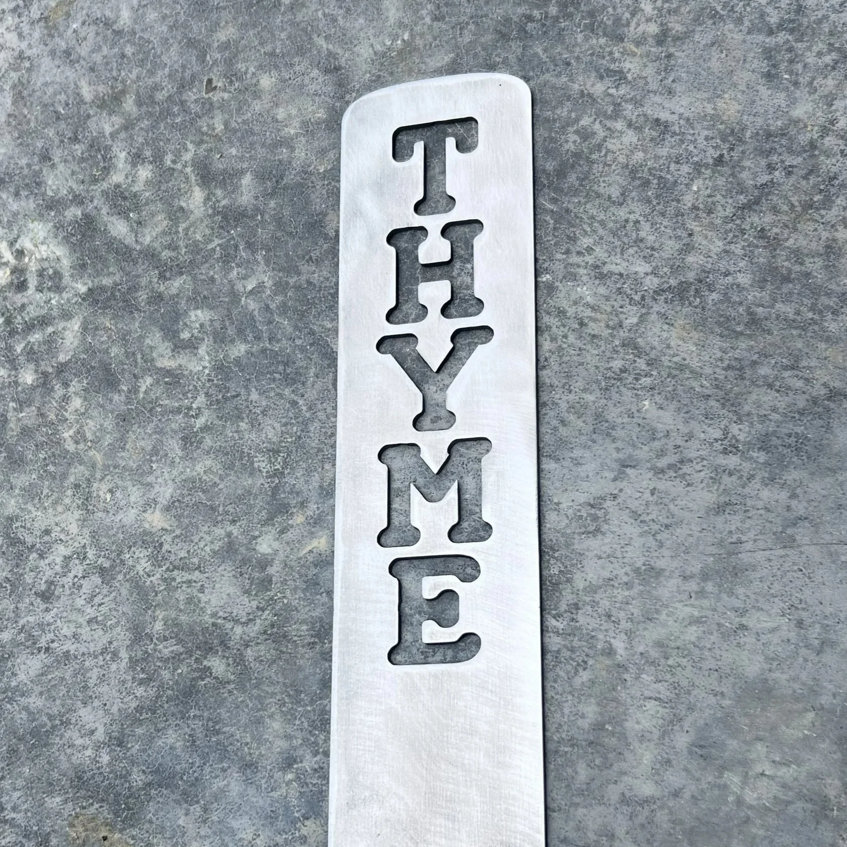 Thyme.jpg