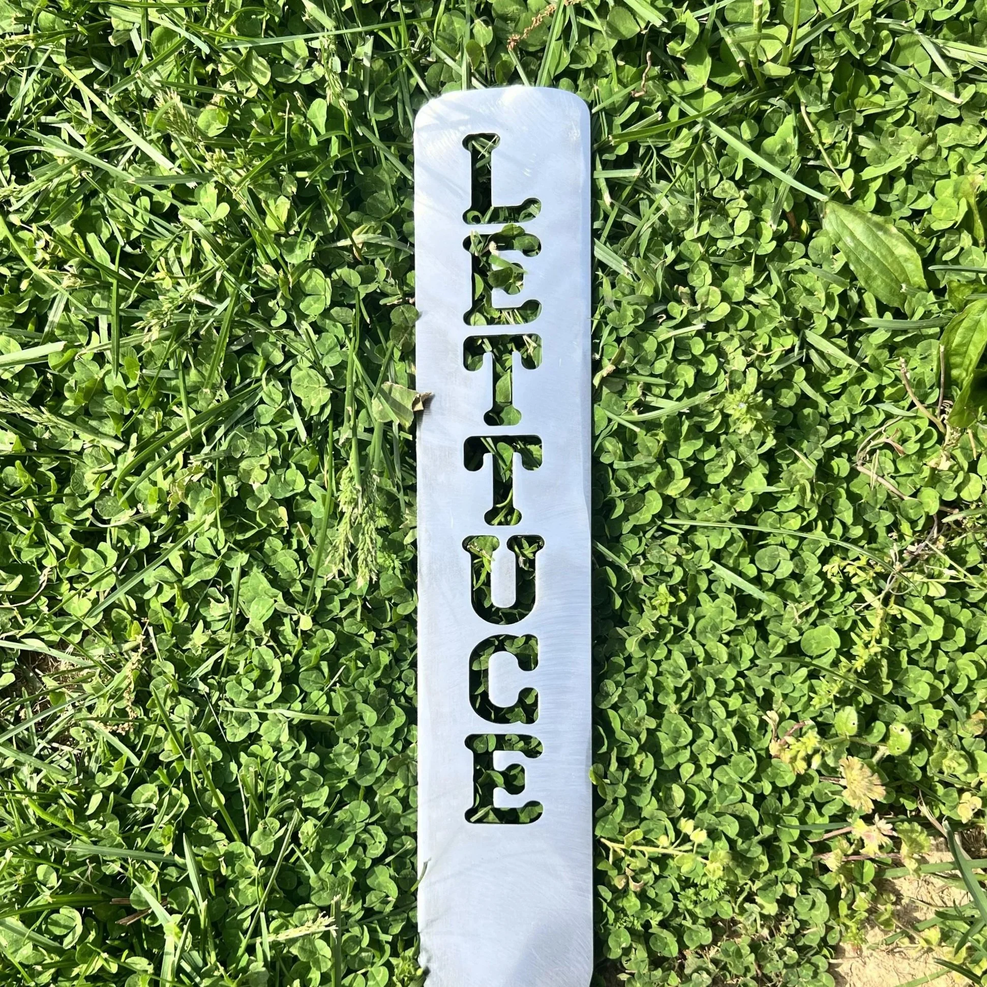 Lettuce.jpg