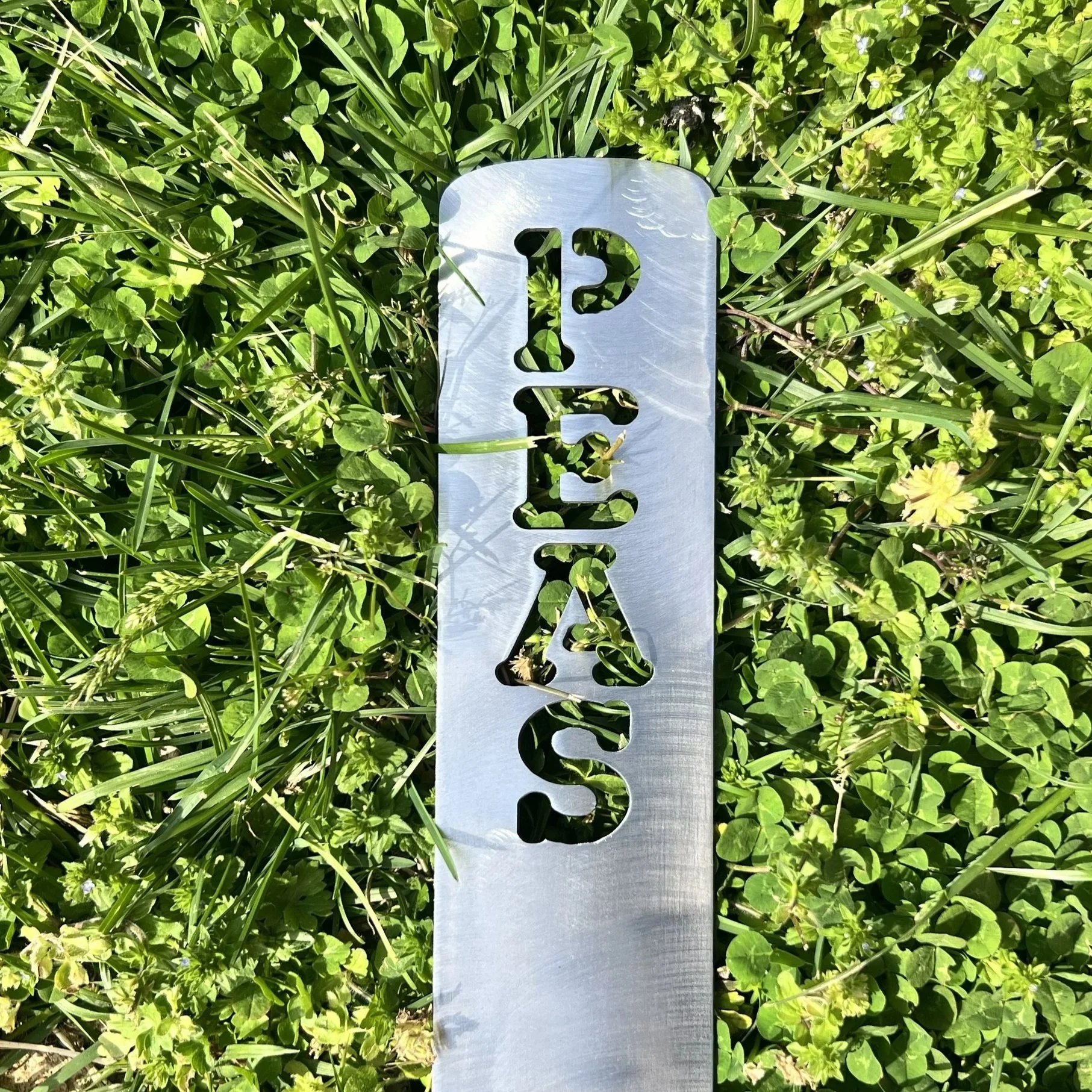 Peas.jpg