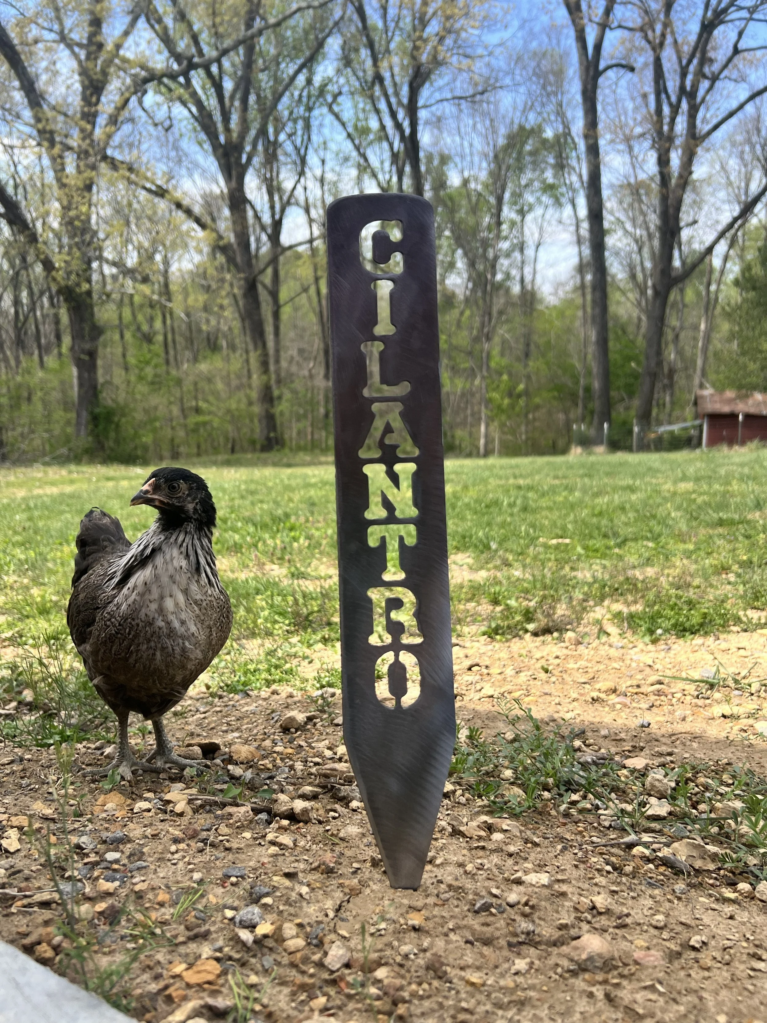 Garden Stakes