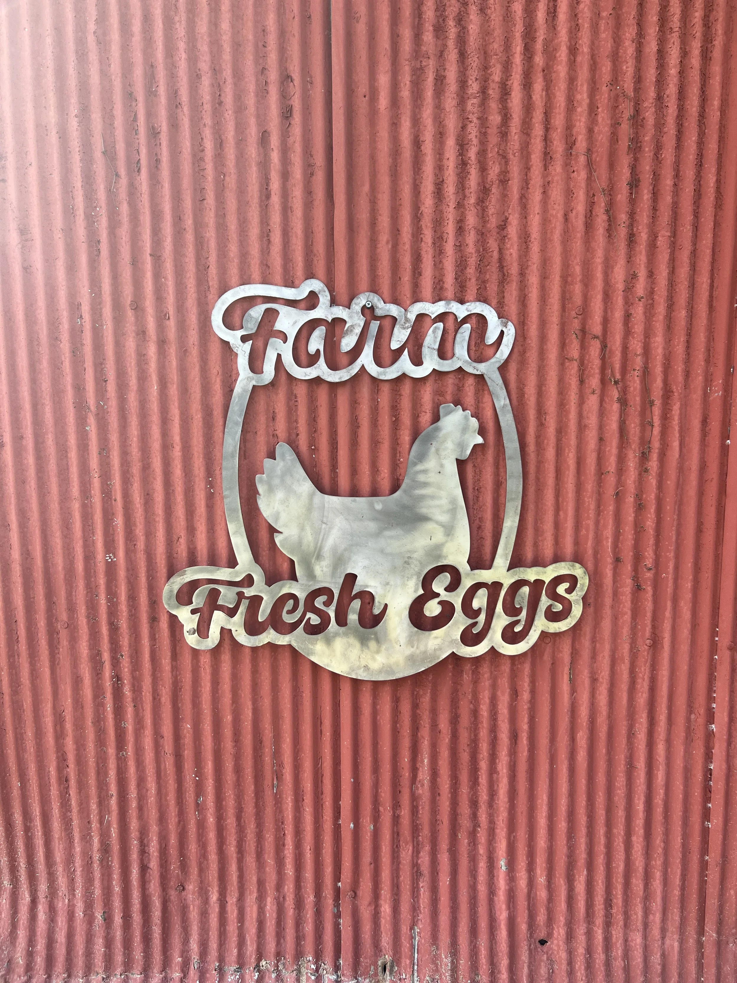 Farm Fresh Eggs