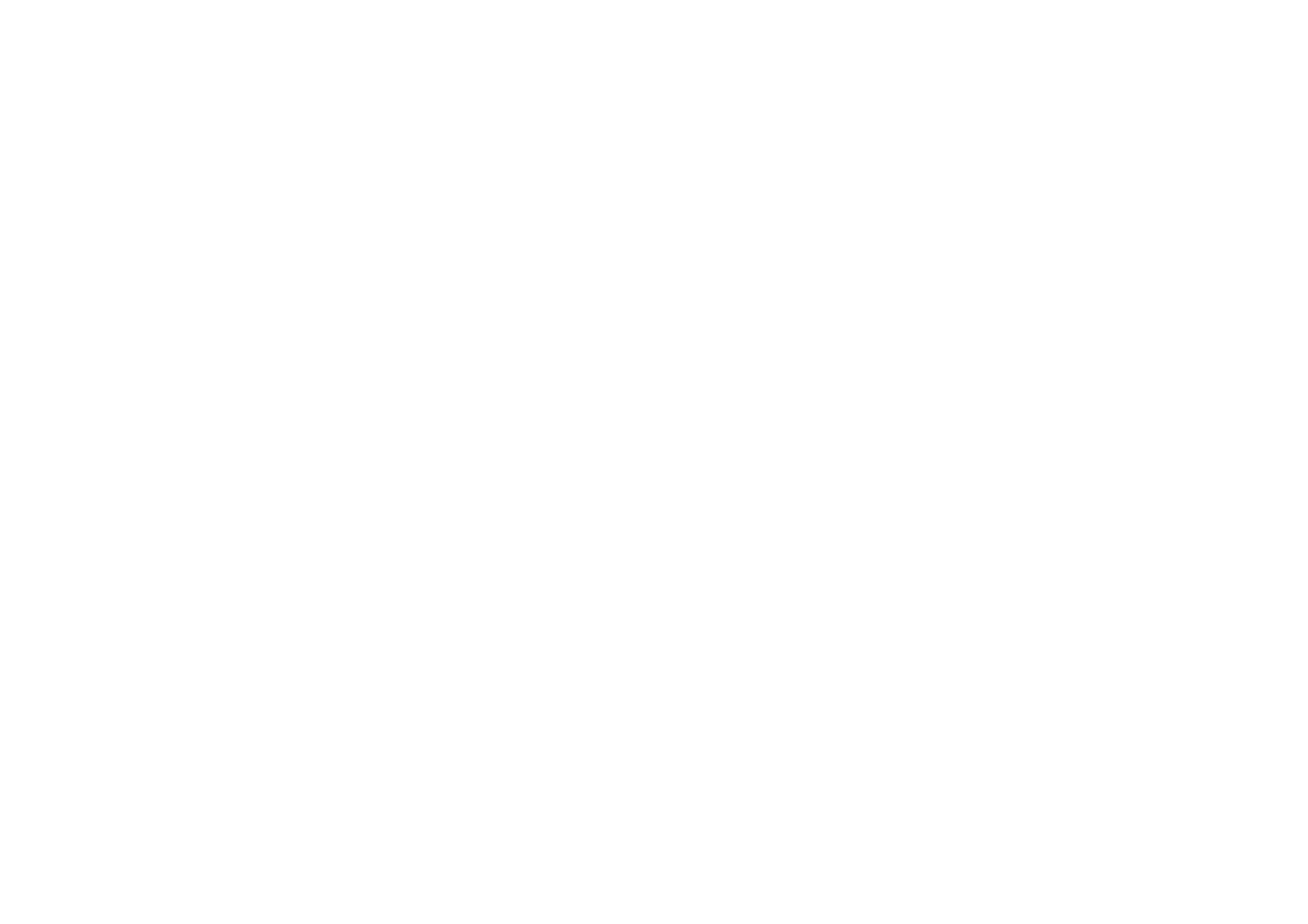 The Old Market