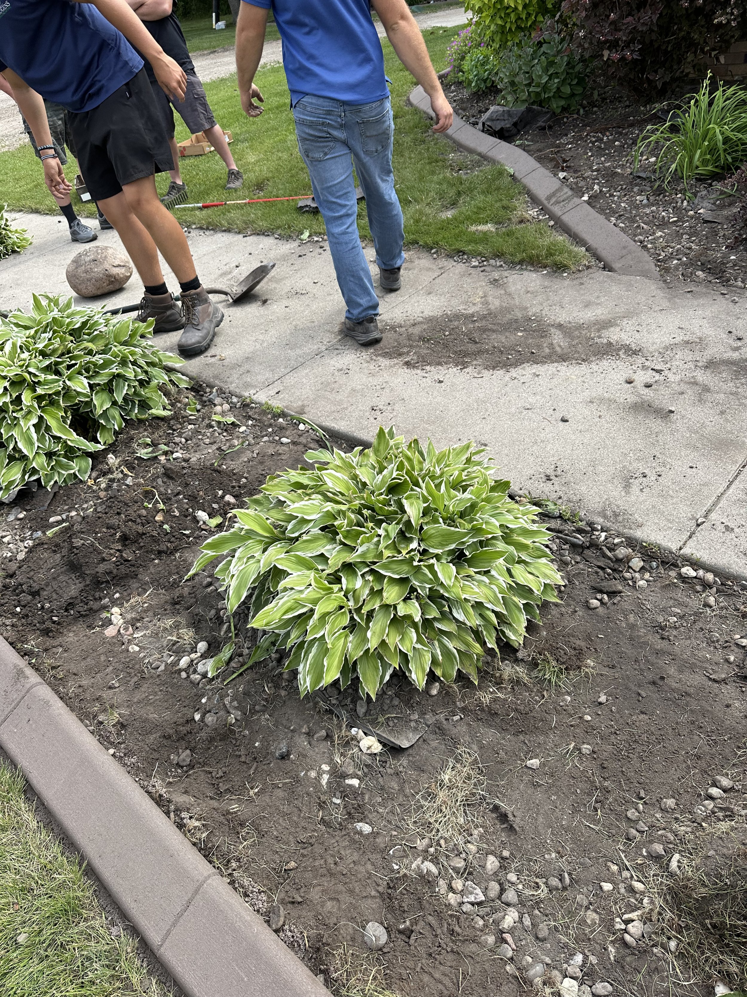 A skid-steer loader with an orange snow blade attachment parked on a snowy surface at night, with a building and a sign that reads "Museum Complex" in the background.