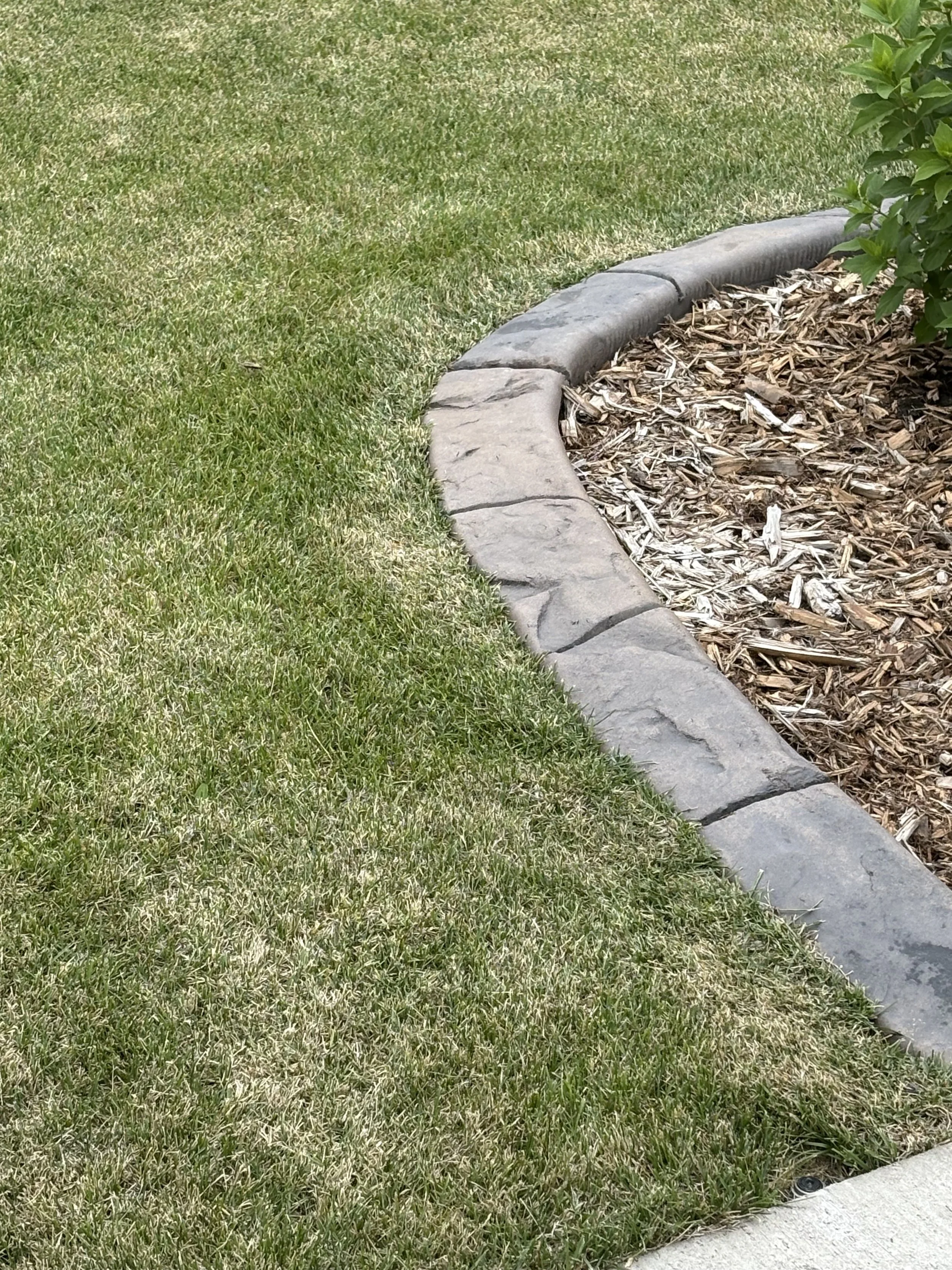 Close-up of a salt flat surface with scattered salt crystals.
