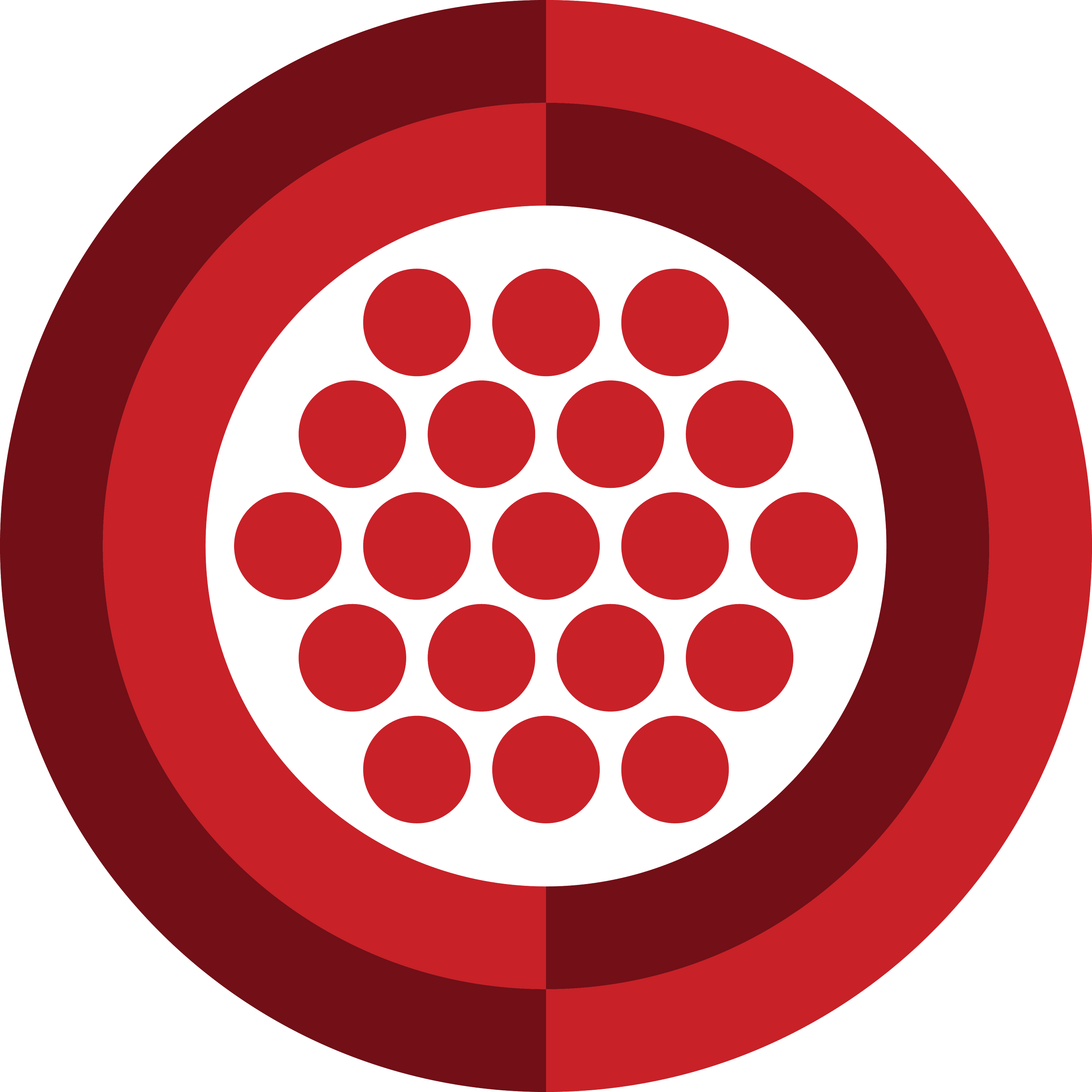 Cross-section of a multi-conductor electrical cable showing 20 red insulated wires arranged in a circular pattern with a black central core.