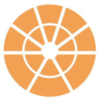 A spider web with a central hole, spun in a circular pattern.