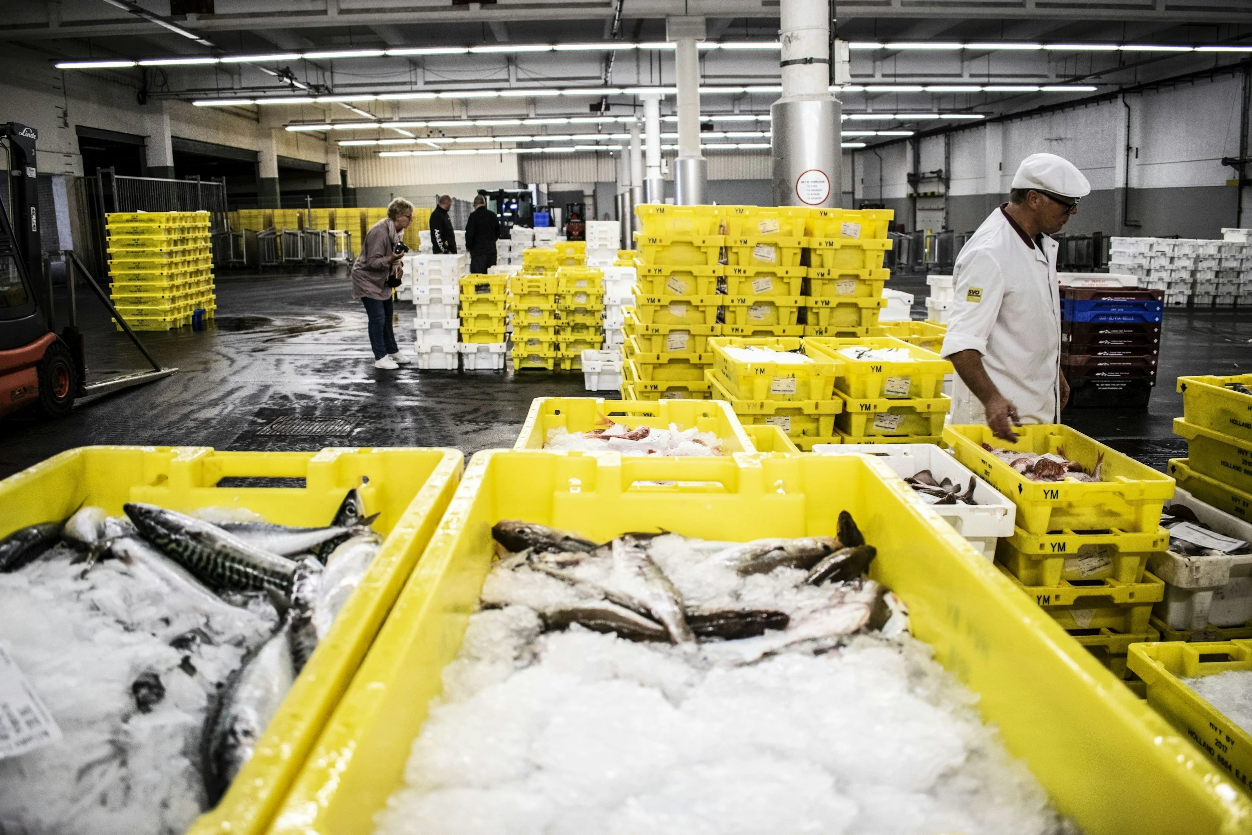 Workers at a fish market sorting fresh fish and seafood in a warehouse with yellow crates and ice, with other people inspecting fish in the background.