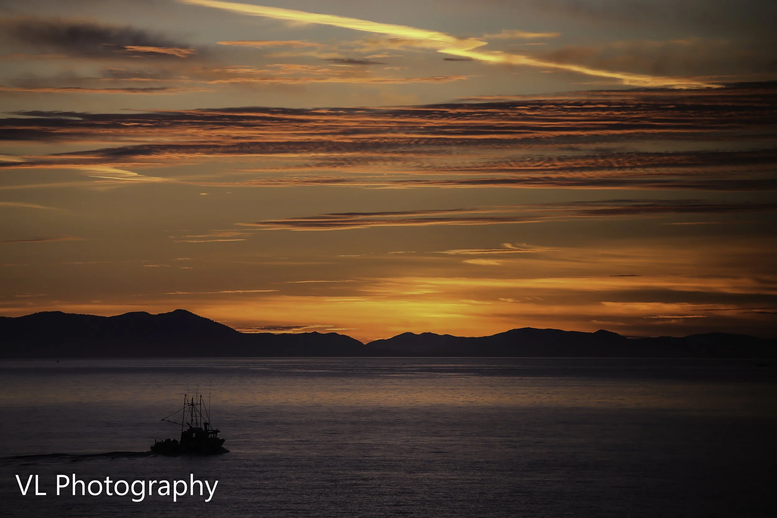 bcfwild (1208)-2.jpg