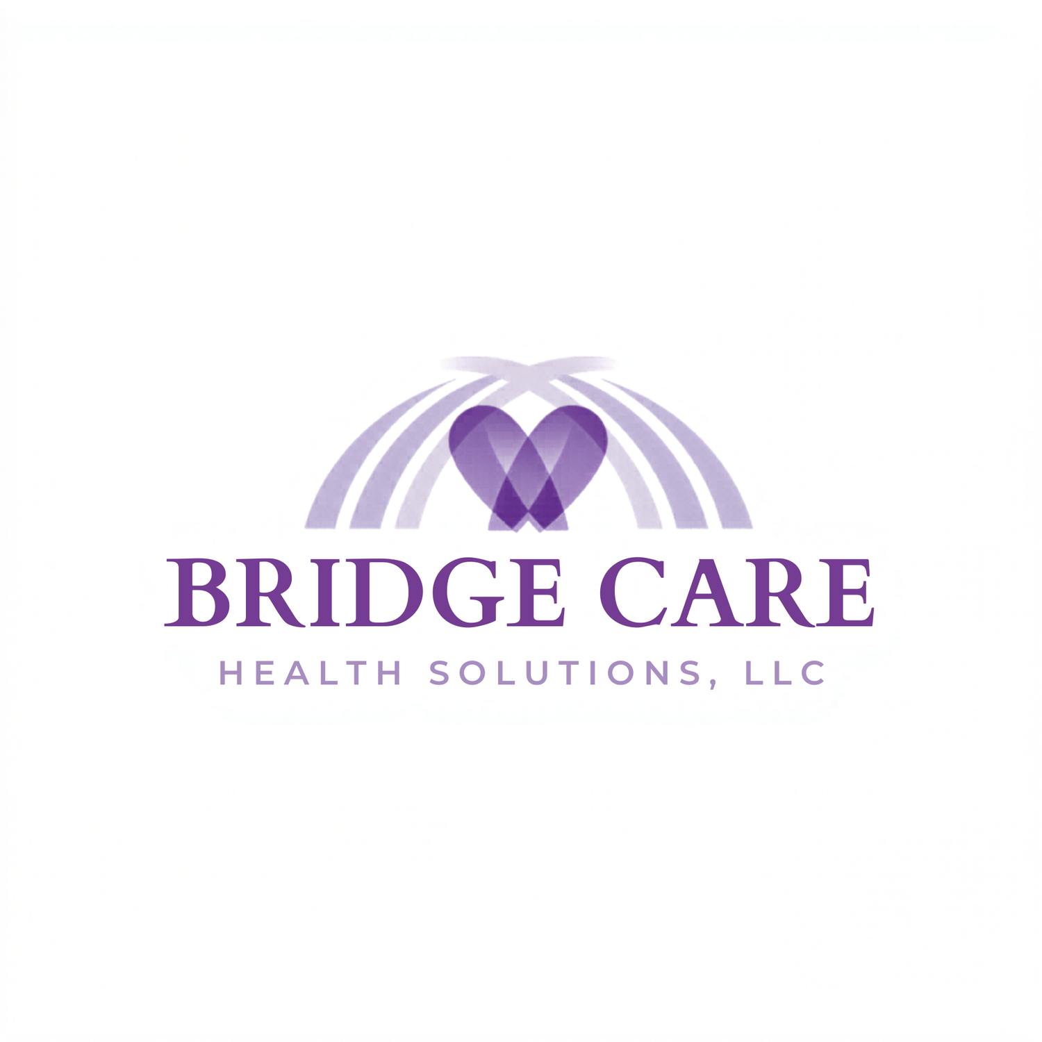 BRIDGE CARE HEALTH SOLUTIONS, LLC