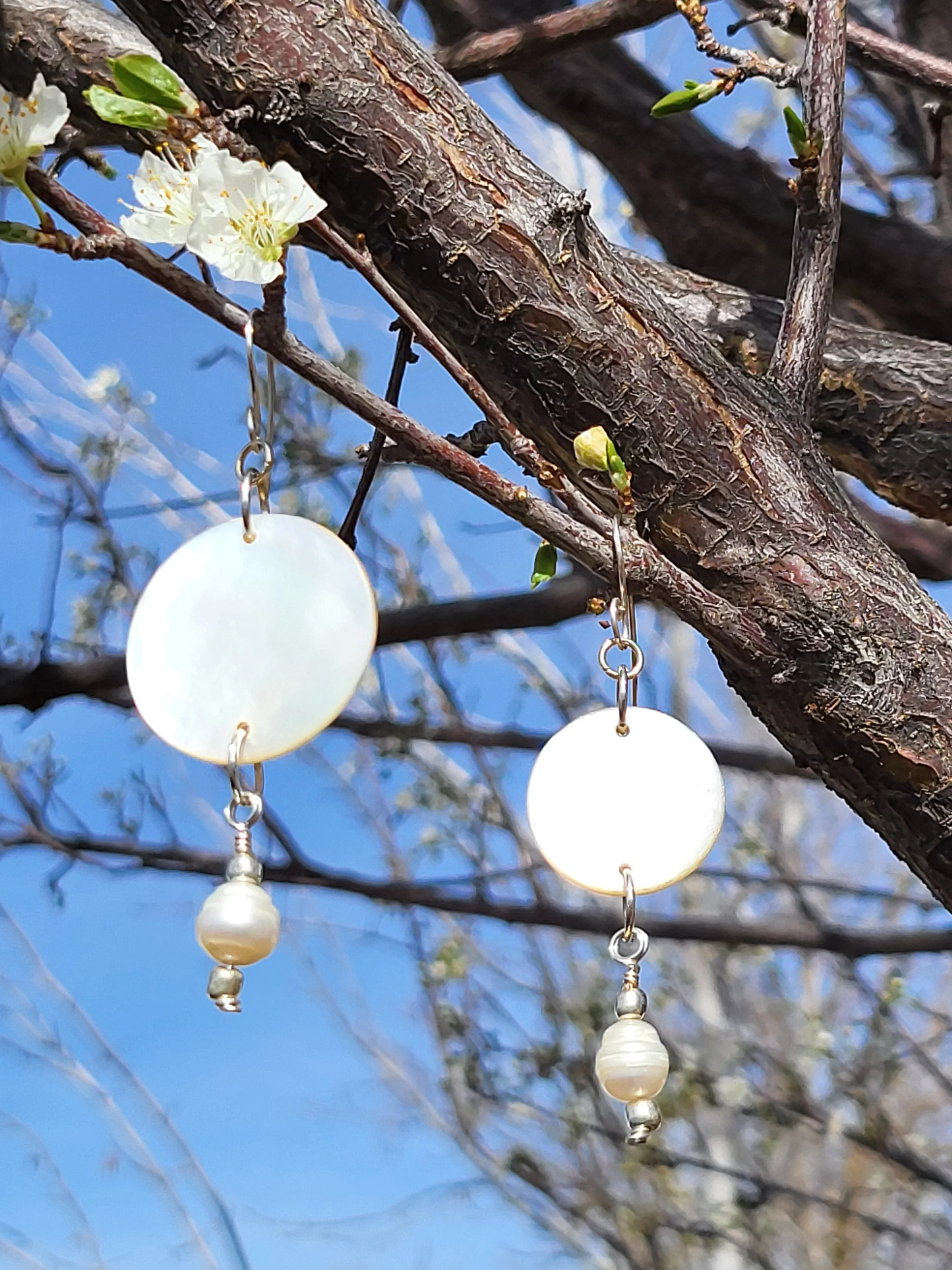 Mismatched Disk Dangles-Outside.jpg