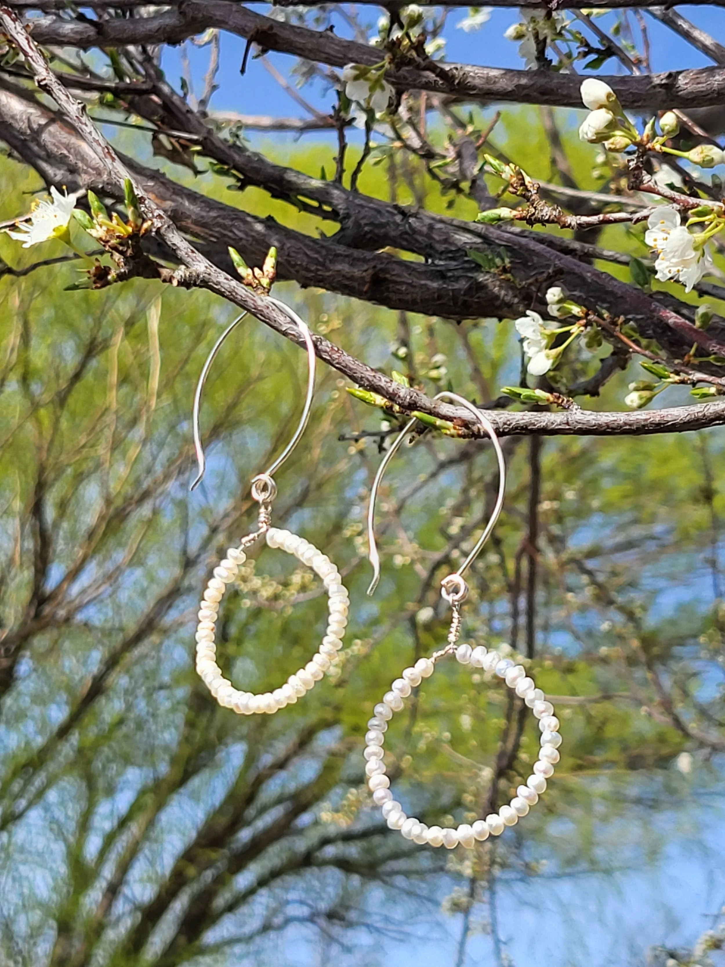 Pearl Circle Earrings