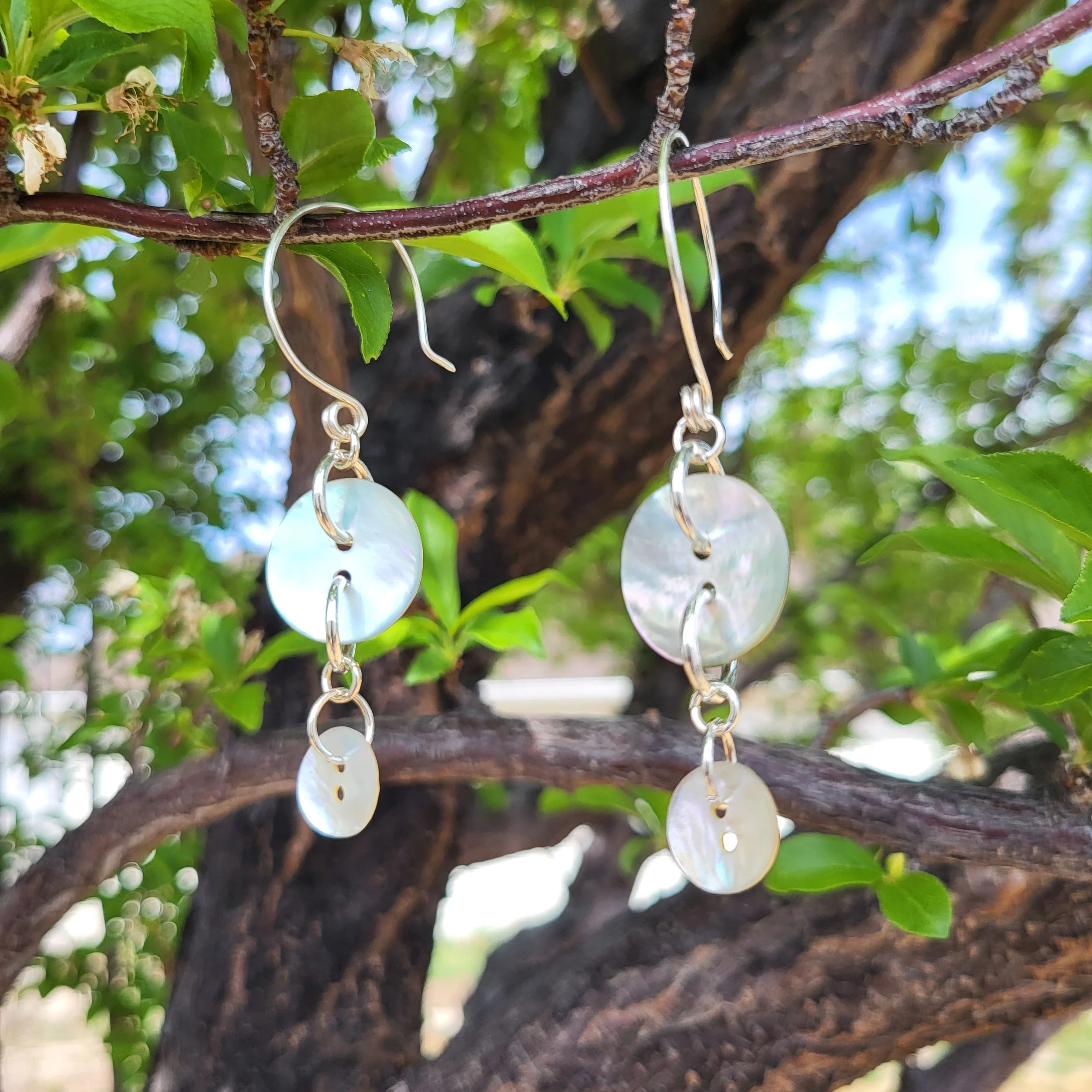 dbl disk-outside.jpg