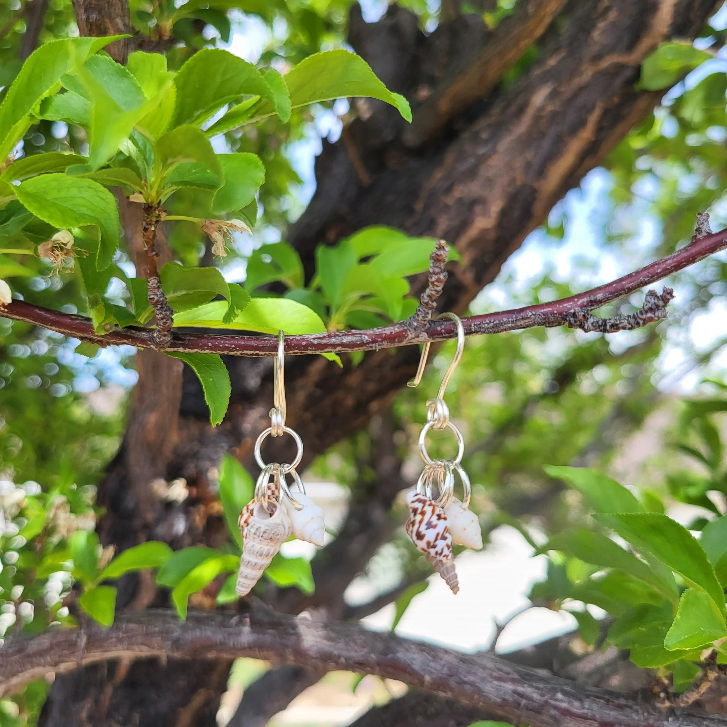 shell trio-outside.jpg